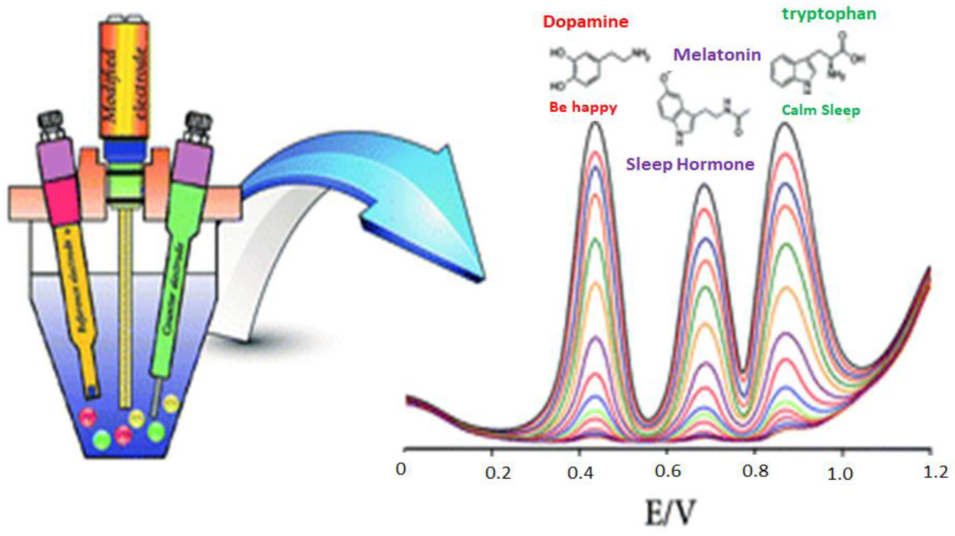 Ijms 22 03316 g004 Ijms 22 03316 g004