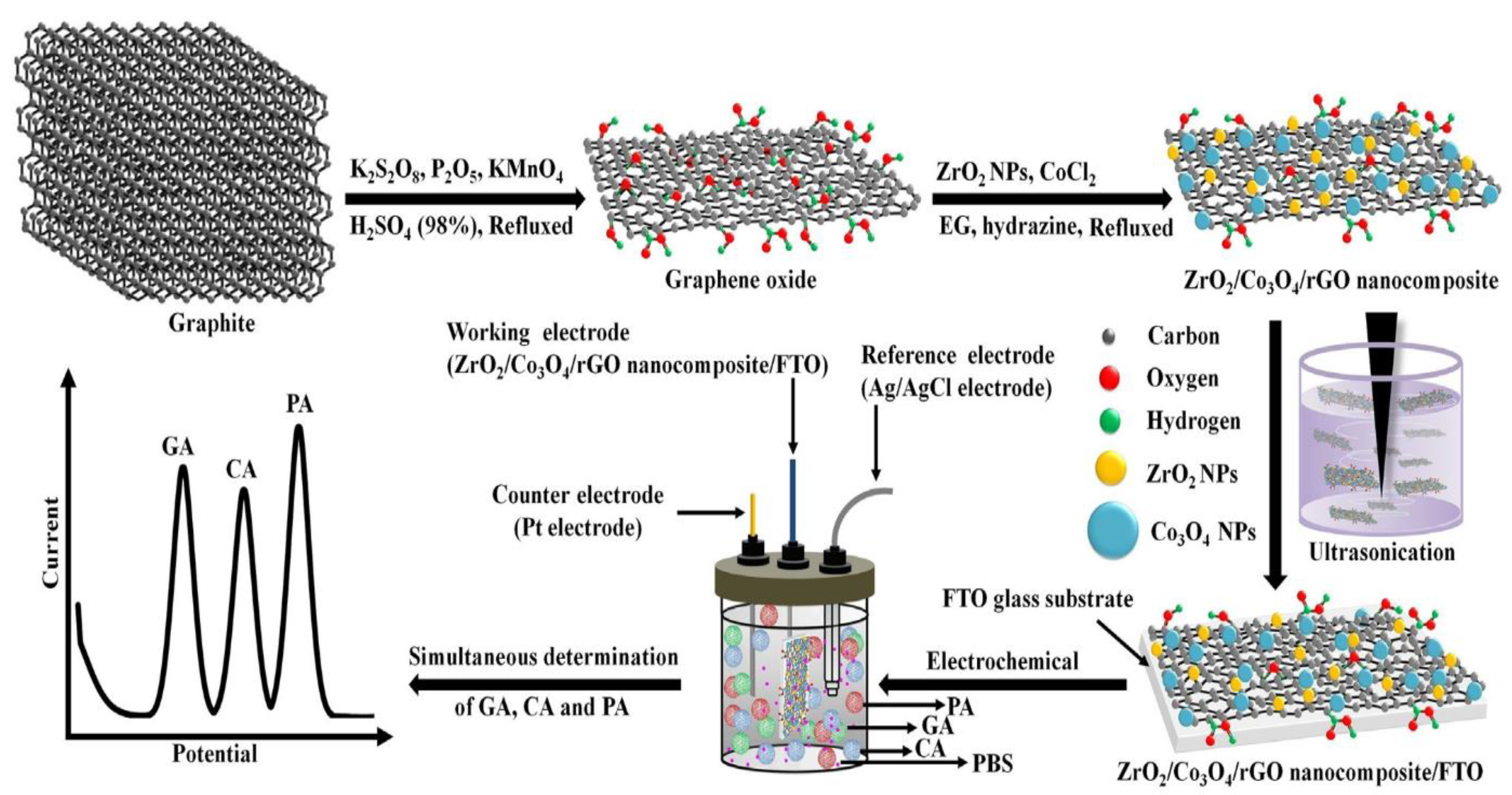 Ijms 22 03316 g005 Ijms 22 03316 g005