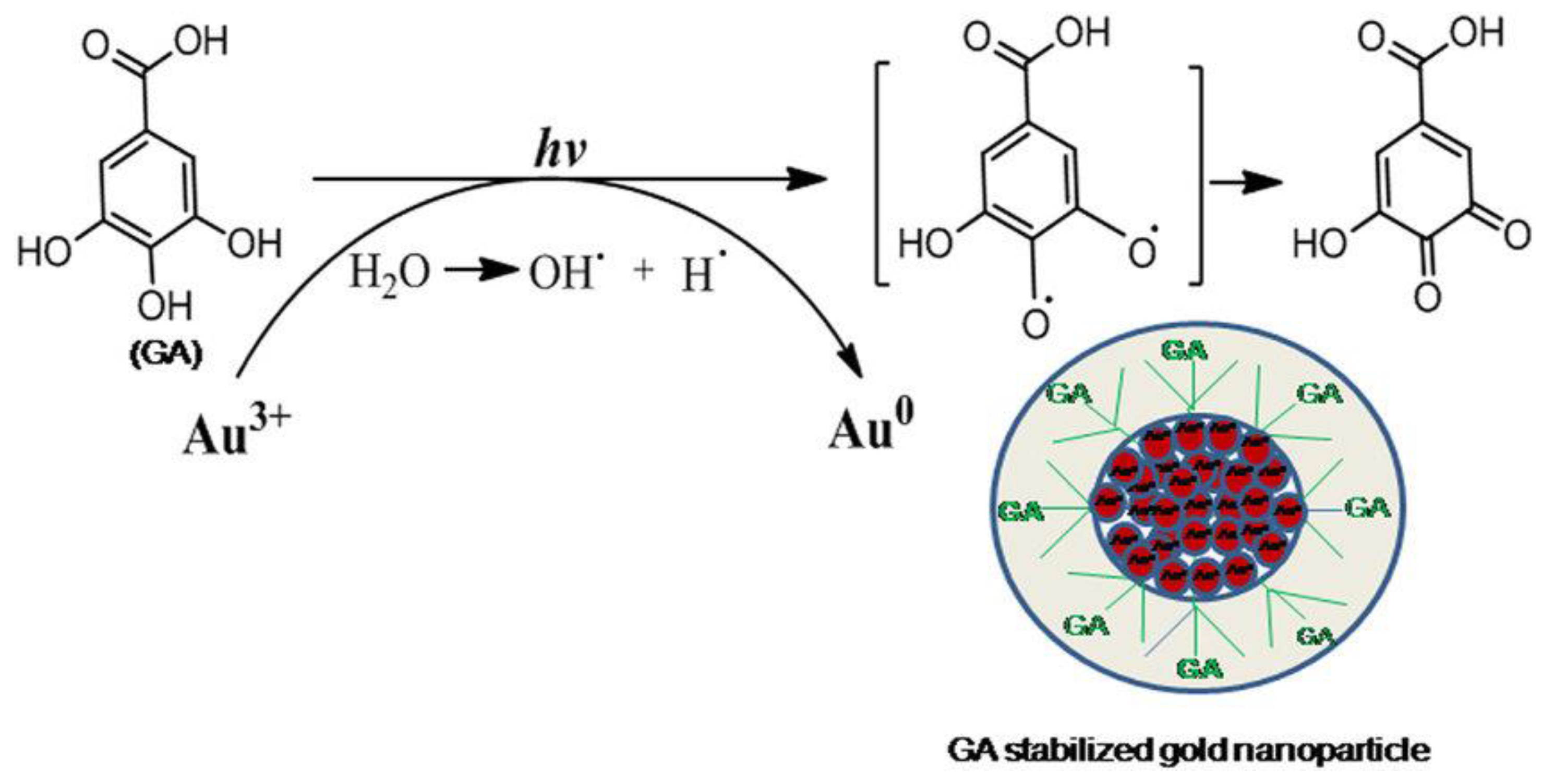 Ijms 22 03316 g006 Ijms 22 03316 g006