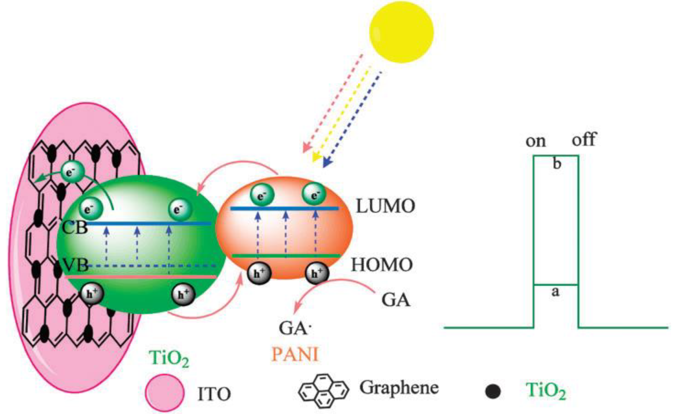 Ijms 22 03316 g007 Ijms 22 03316 g007
