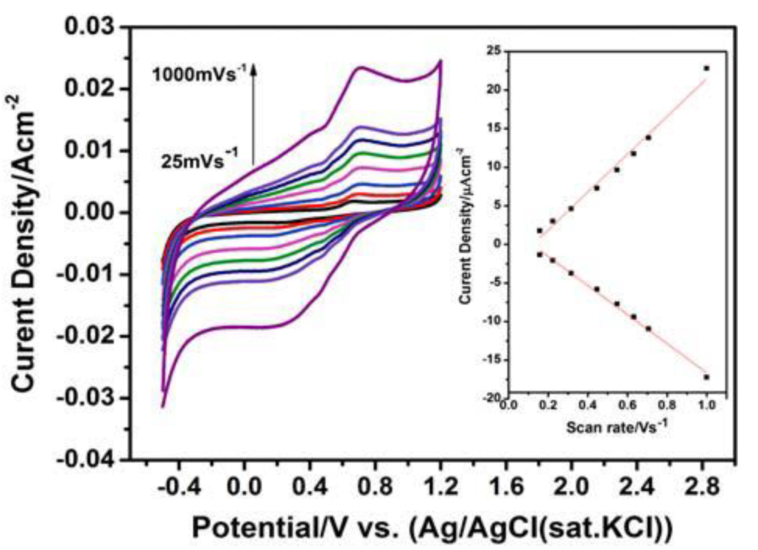 Ijms 22 03316 g010 Ijms 22 03316 g010