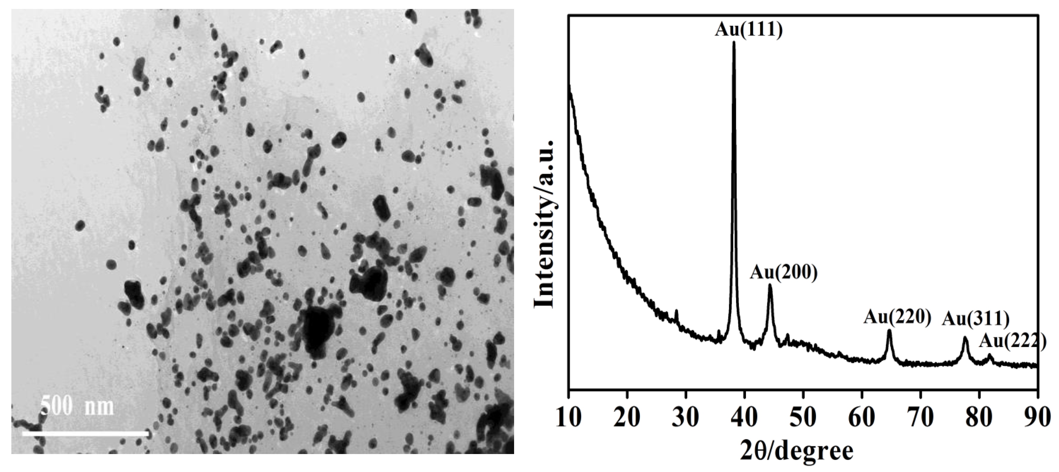 Ijms 22 03316 g013 Ijms 22 03316 g013