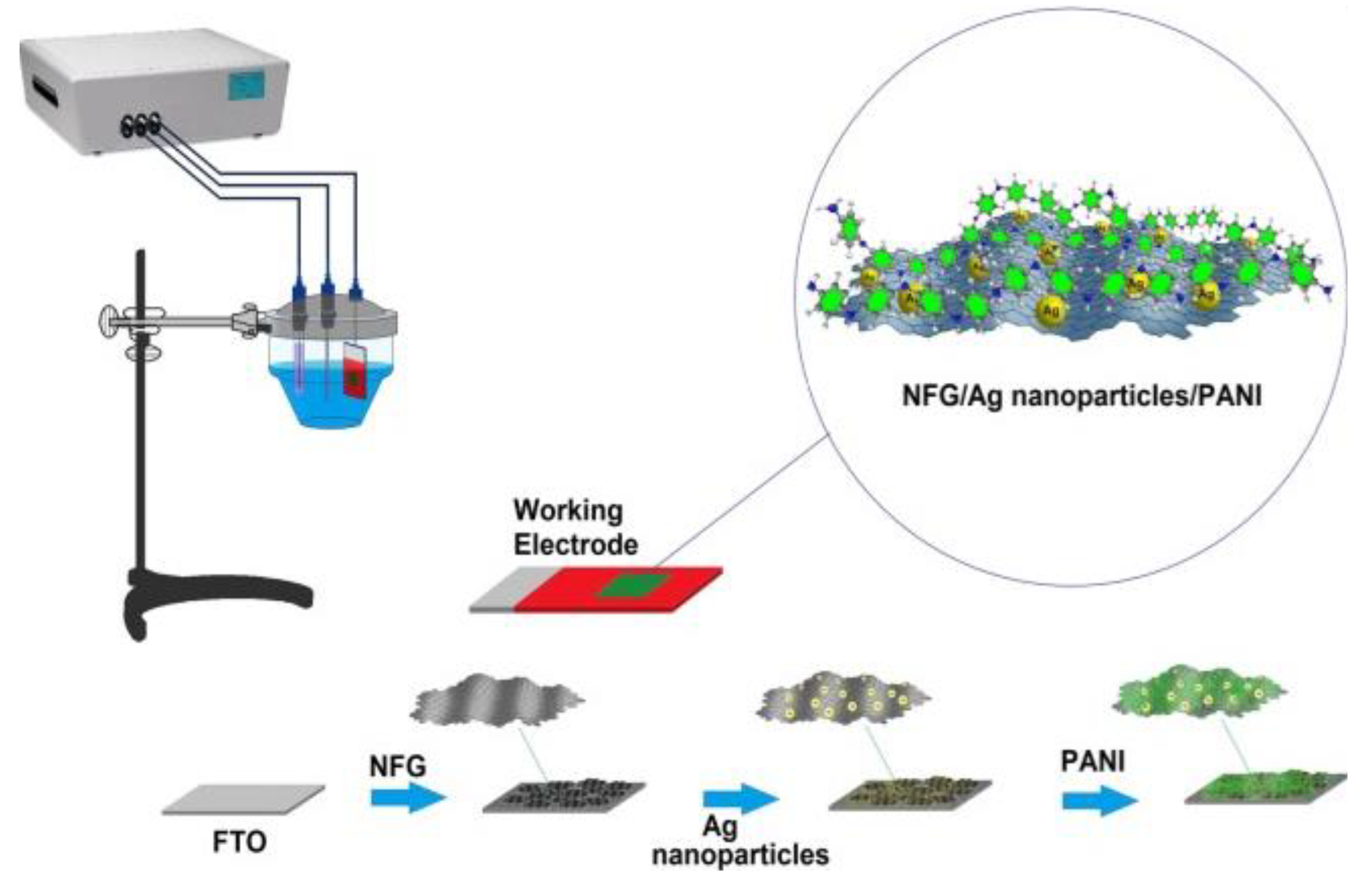 Ijms 22 03316 g014 Ijms 22 03316 g014