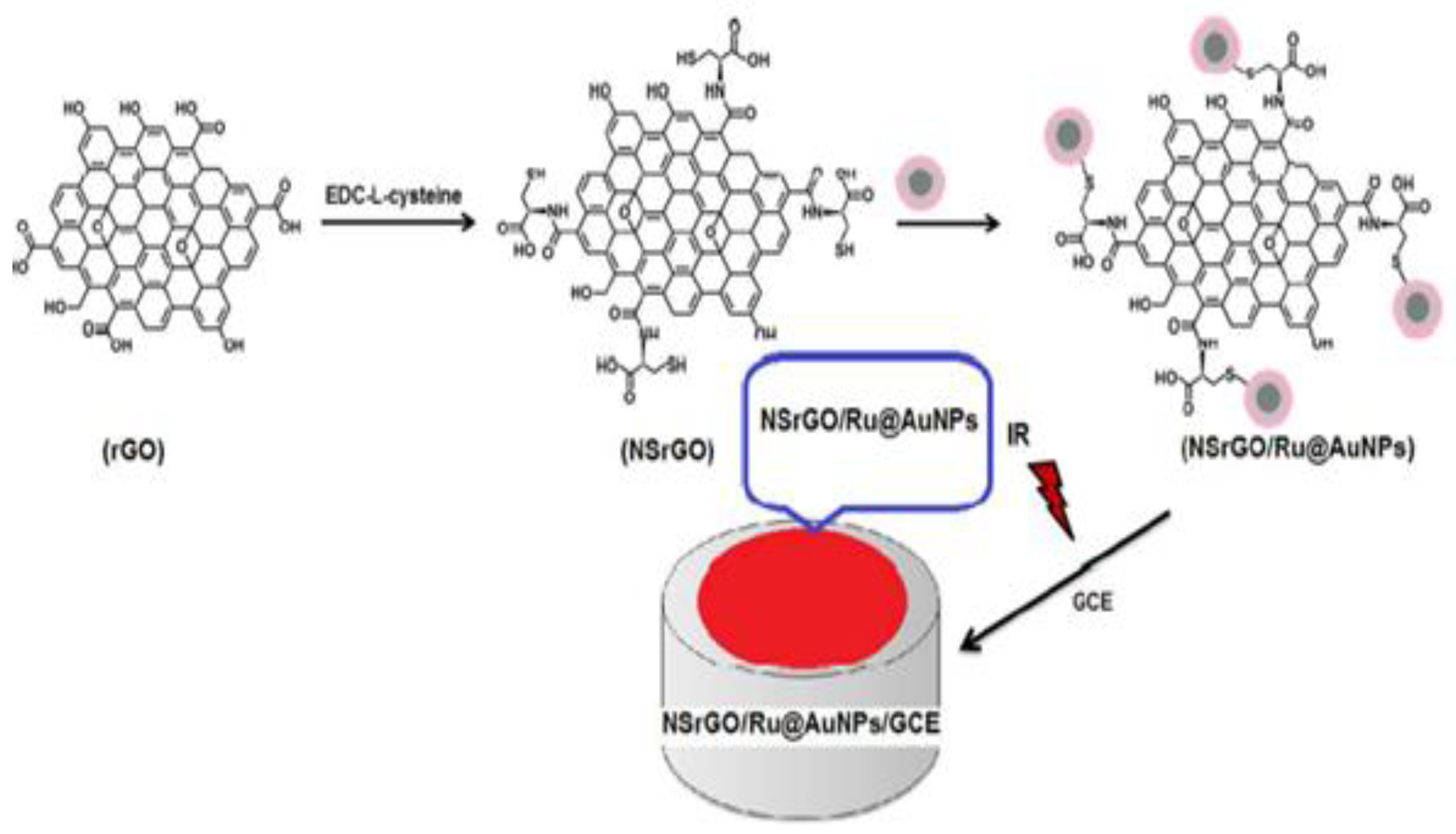 Ijms 22 03316 g015 Ijms 22 03316 g015