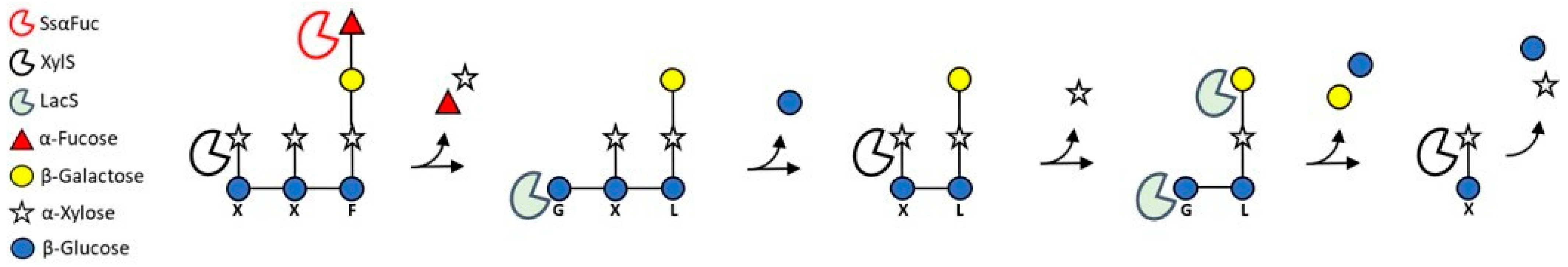 Ijms 22 03325 g004 Ijms 22 03325 g004