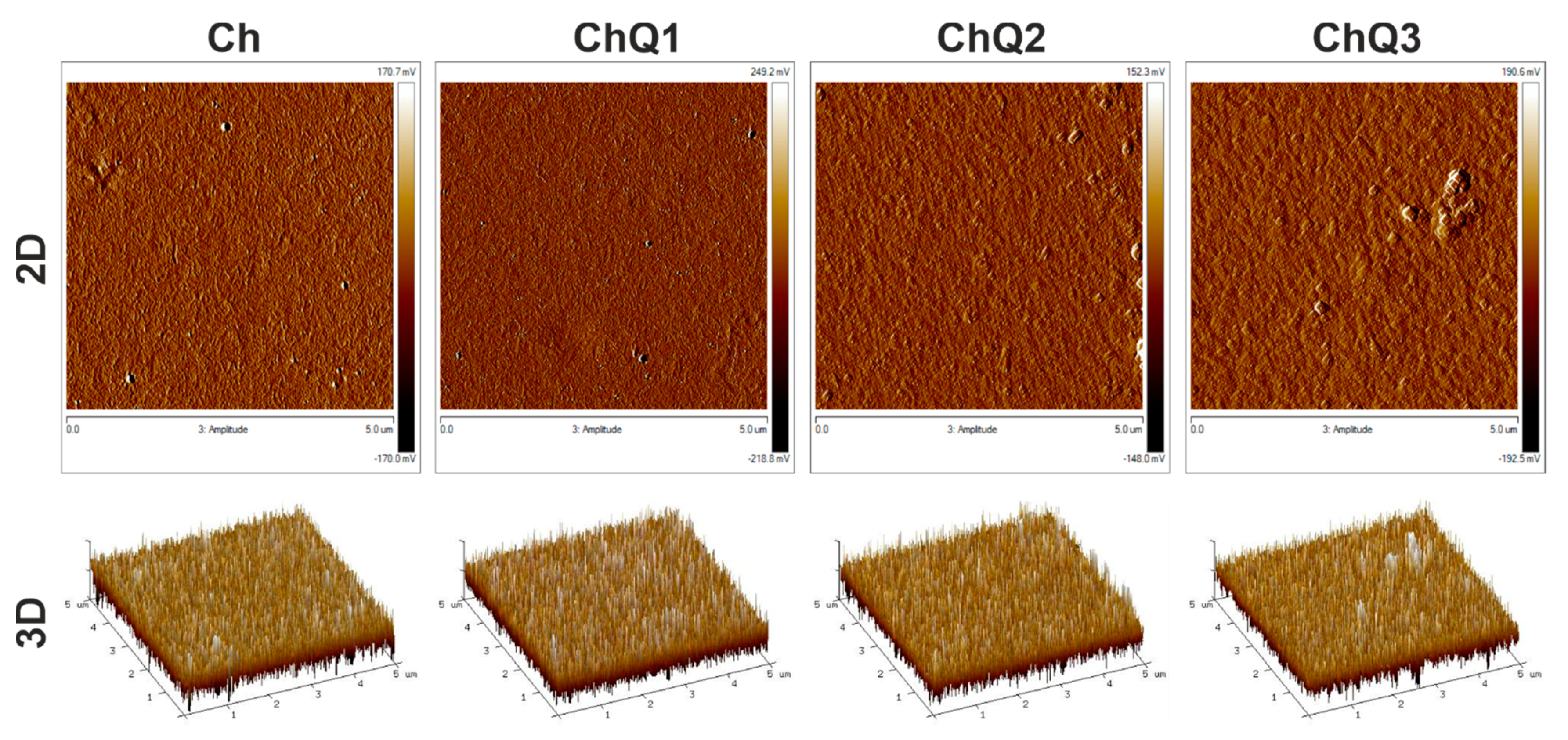 Ijms 22 03329 g007 Ijms 22 03329 g007