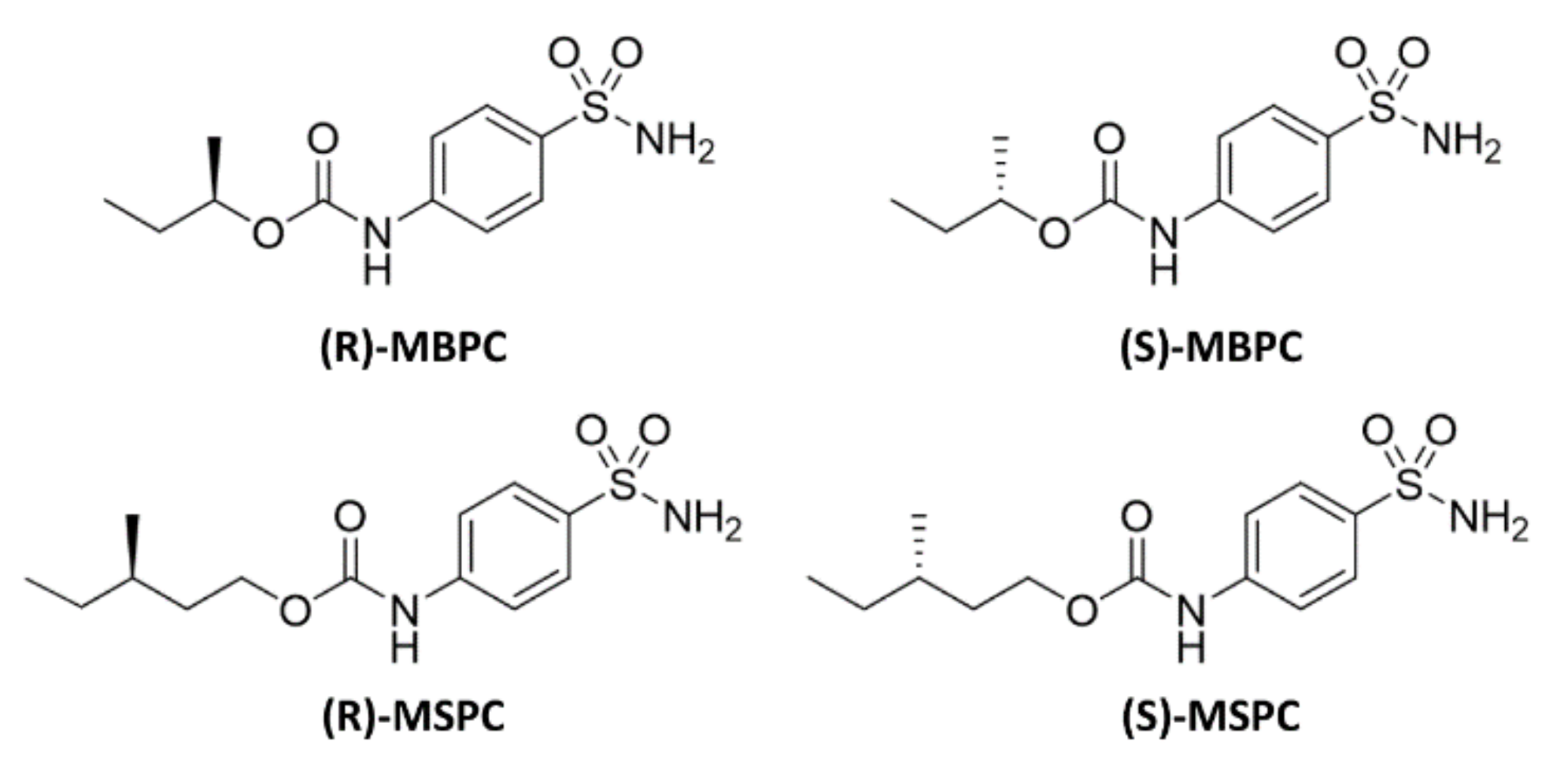 Ijms 22 03361 g001 Ijms 22 03361 g001