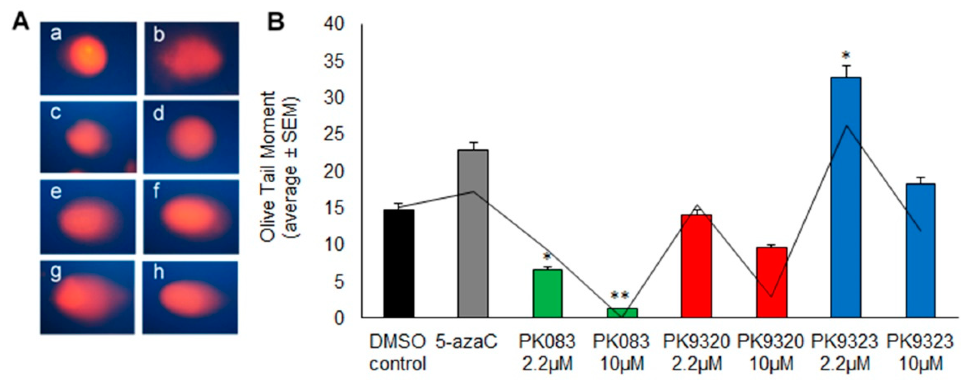 Ijms 22 03410 g005 Ijms 22 03410 g005