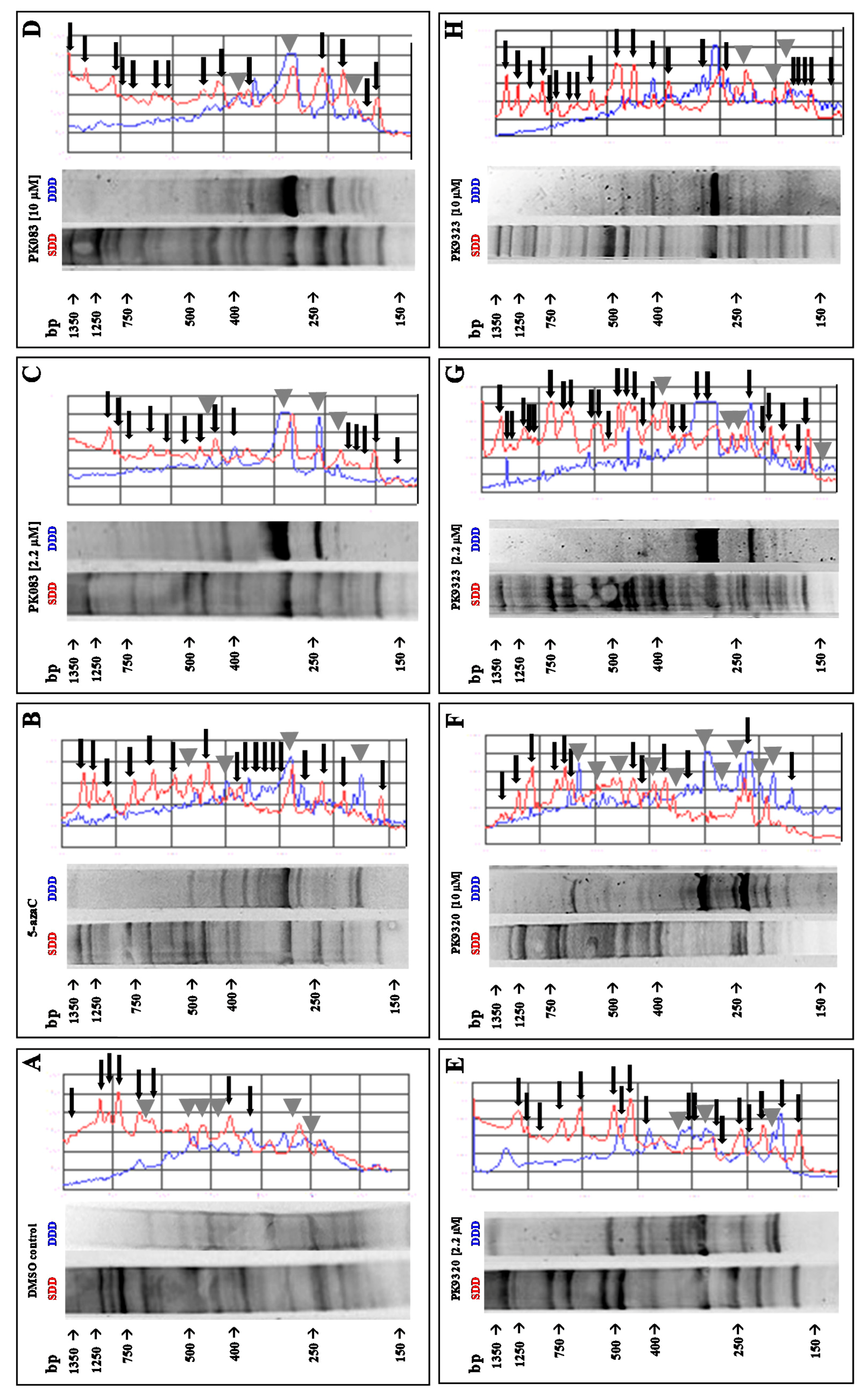 Ijms 22 03410 g006 Ijms 22 03410 g006