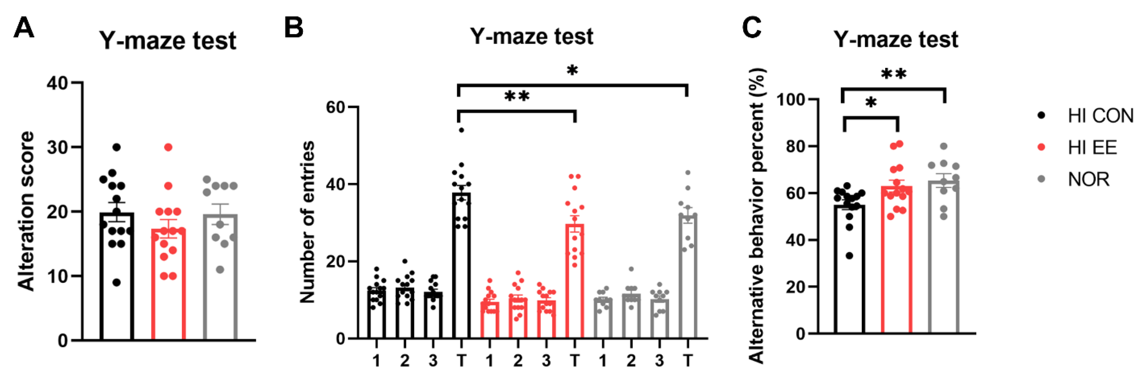 Ijms 22 03414 g003 Ijms 22 03414 g003