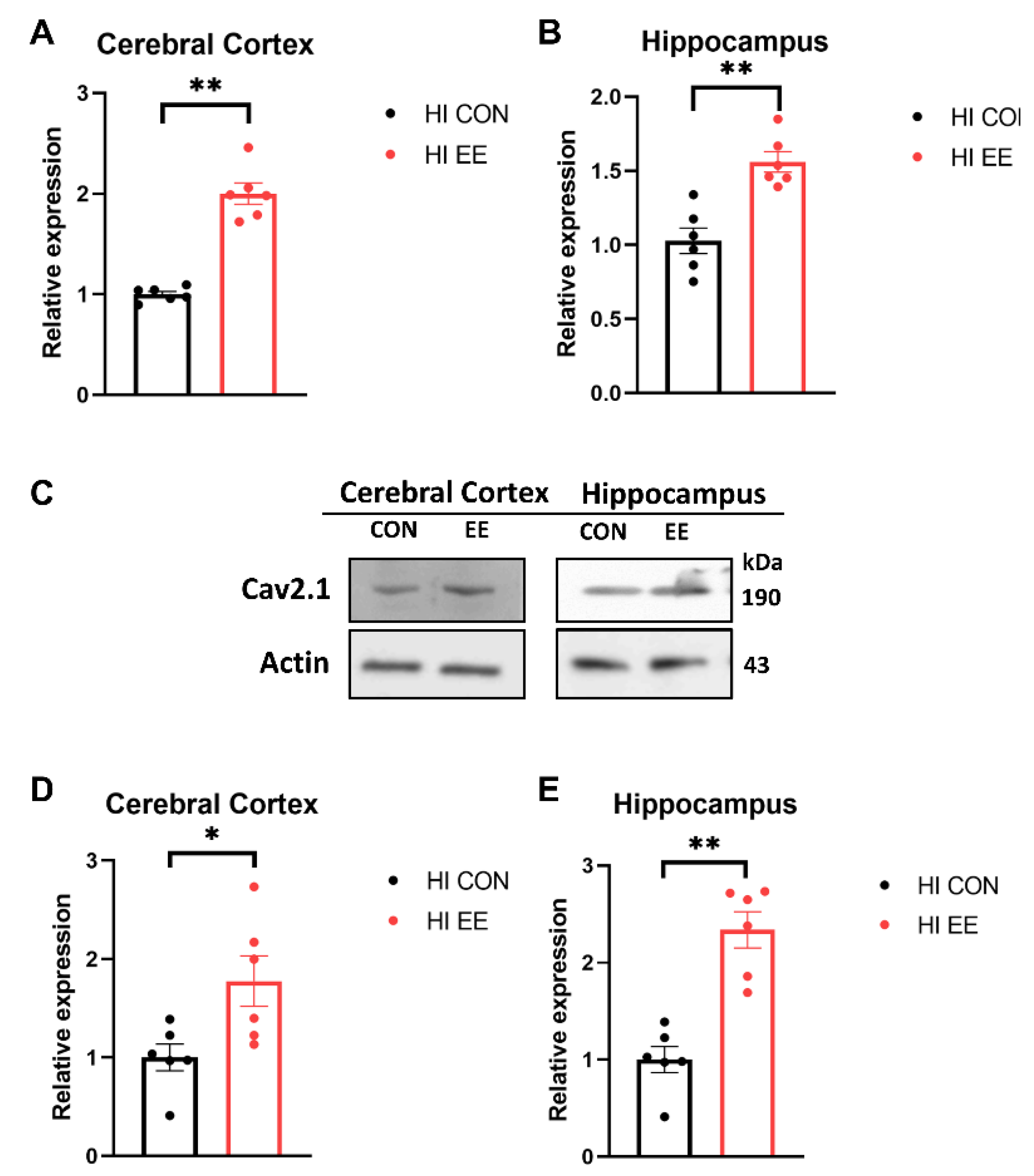 Ijms 22 03414 g004 Ijms 22 03414 g004