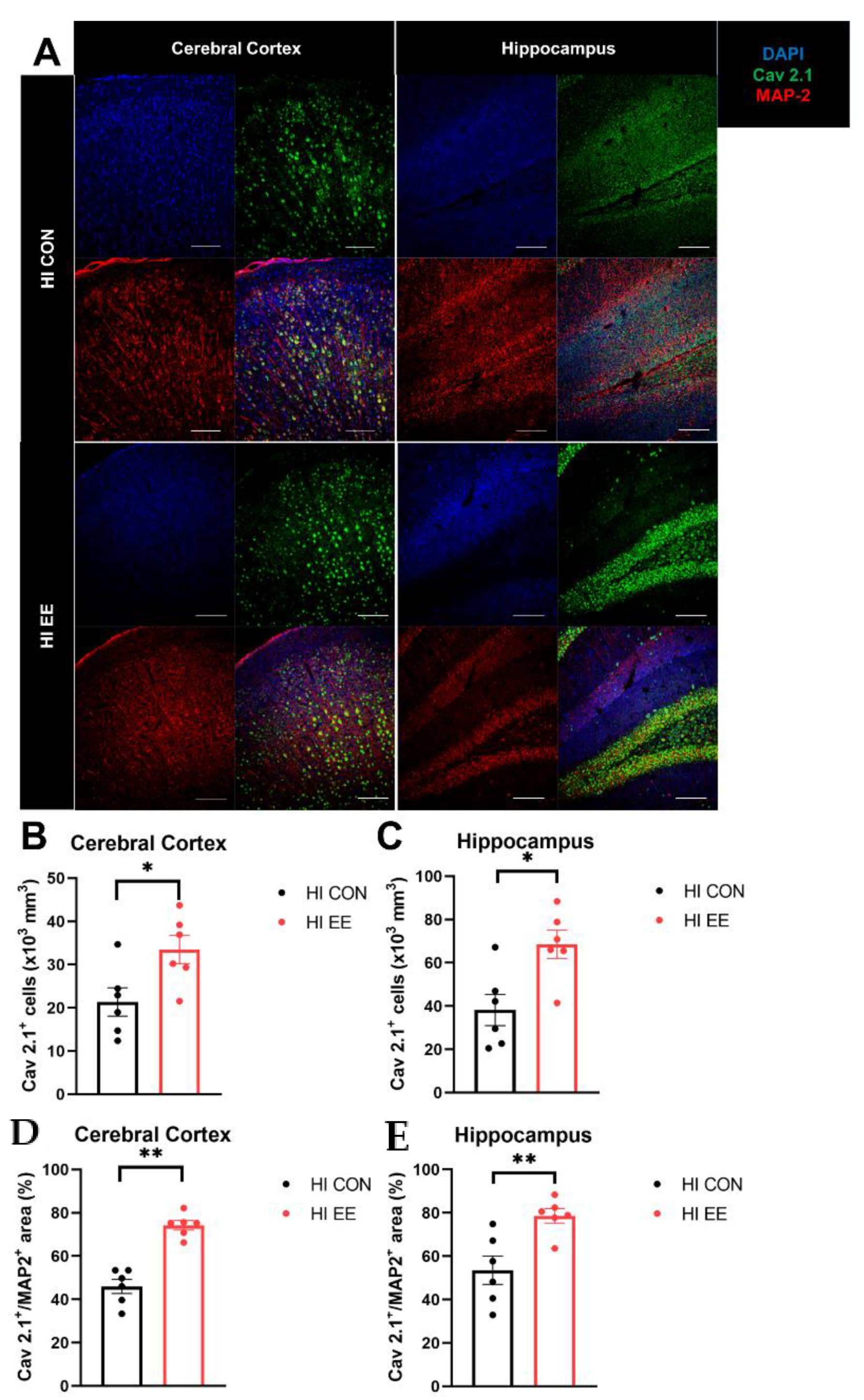 Ijms 22 03414 g005 Ijms 22 03414 g005