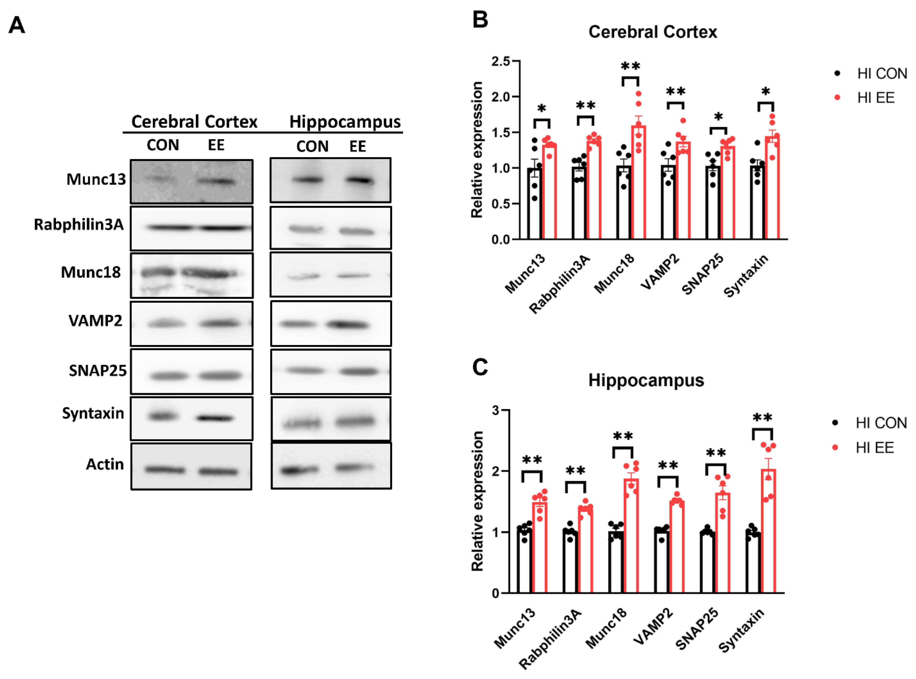 Ijms 22 03414 g006 Ijms 22 03414 g006