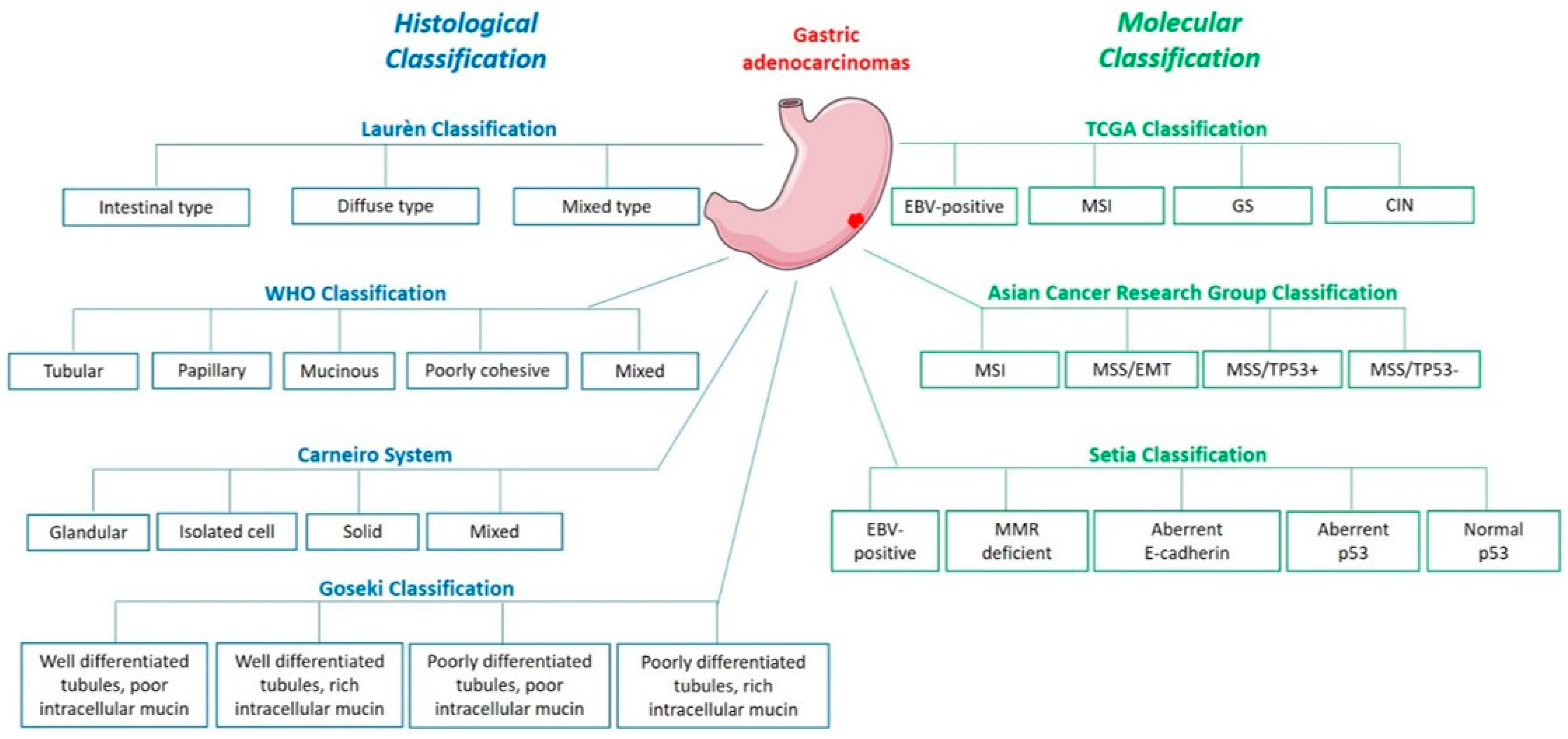 Ijms 22 03418 g001 Ijms 22 03418 g001