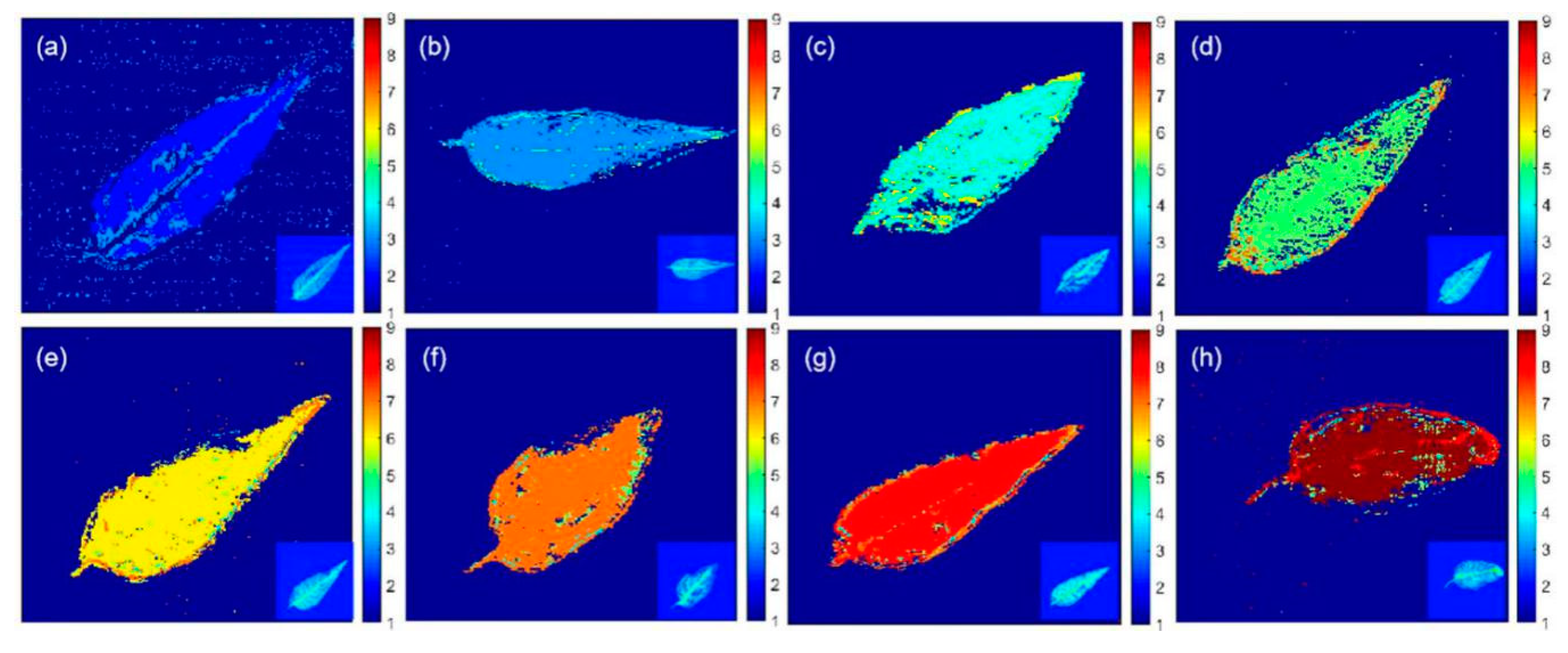 Ijms 22 03425 g005 Ijms 22 03425 g005