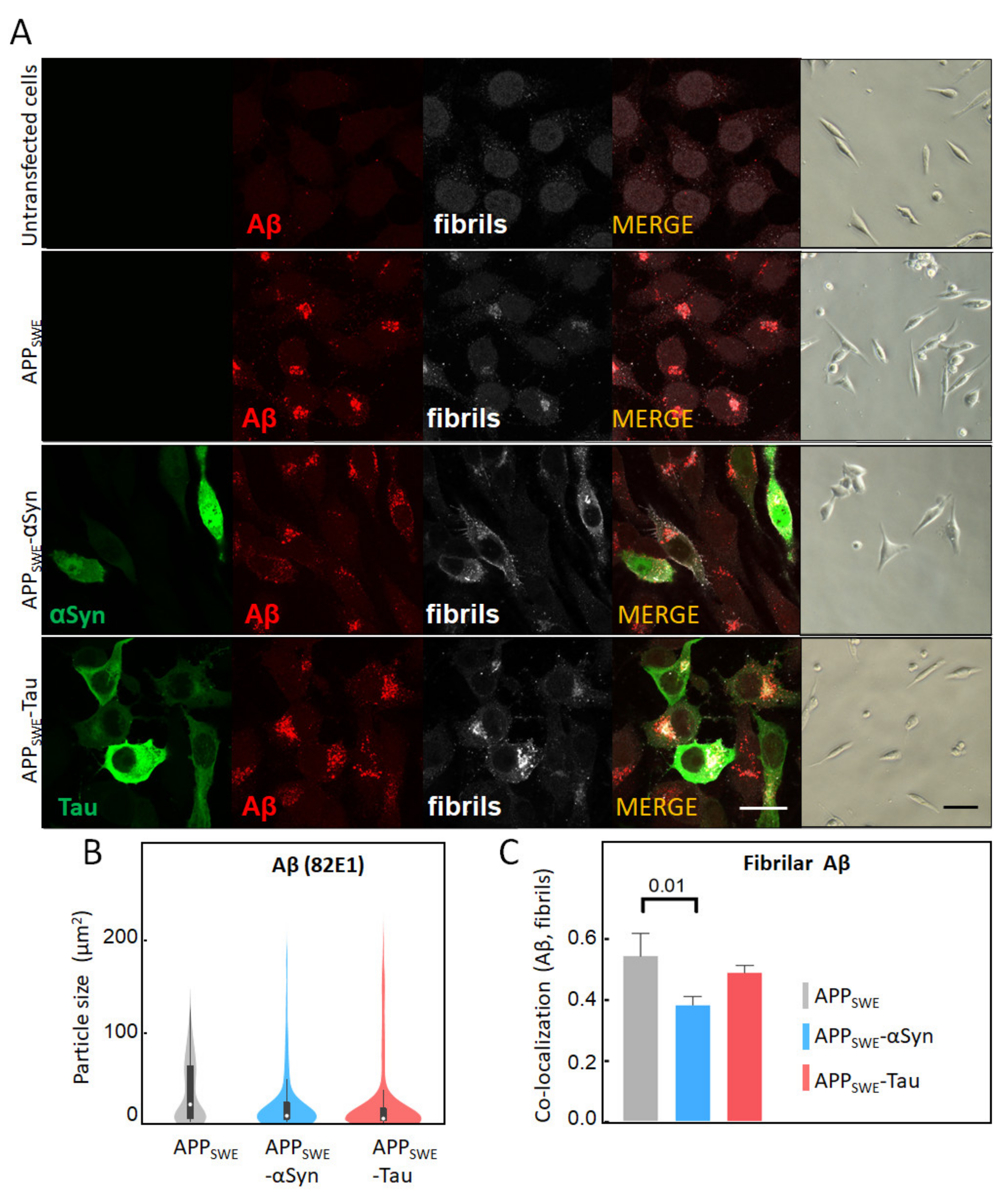 Ijms 22 03430 g001 Ijms 22 03430 g001