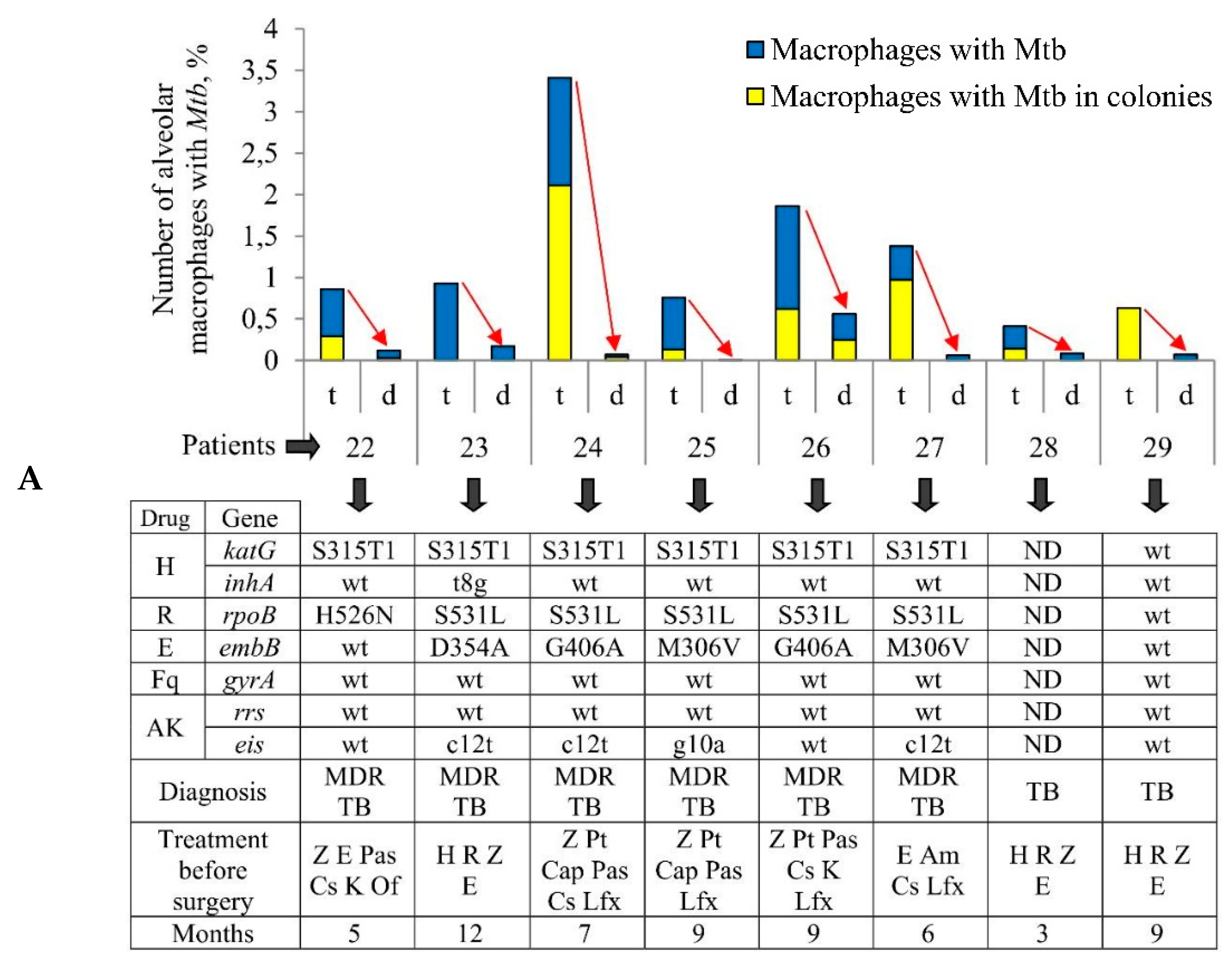 Ijms 22 03452 g001a Ijms 22 03452 g001a
