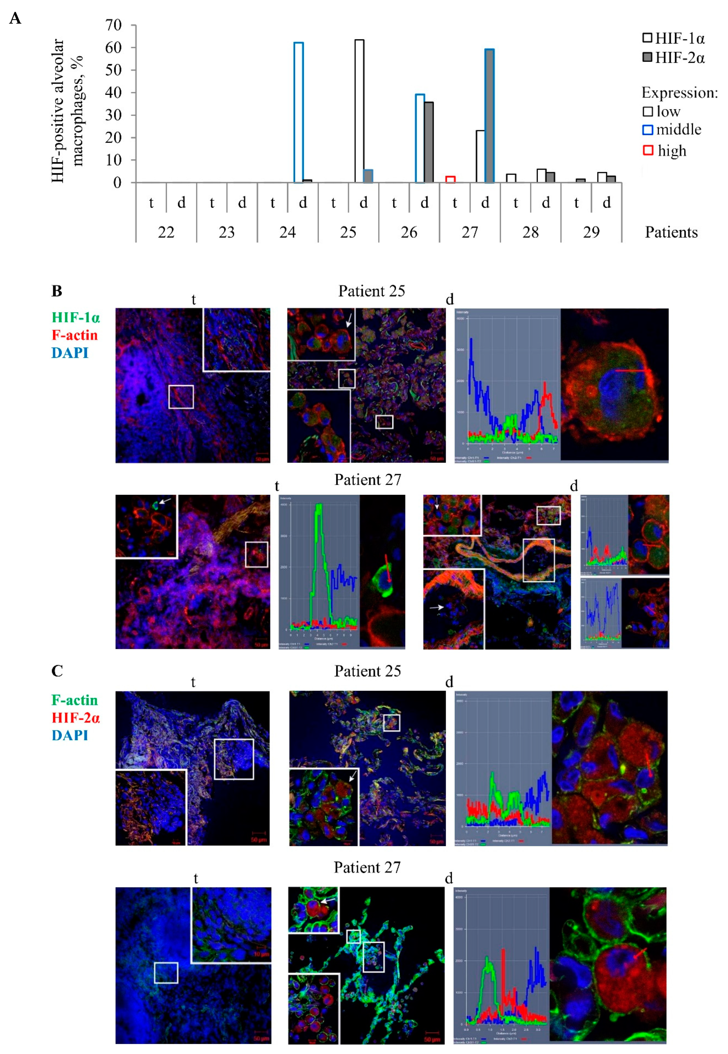 Ijms 22 03452 g002 Ijms 22 03452 g002