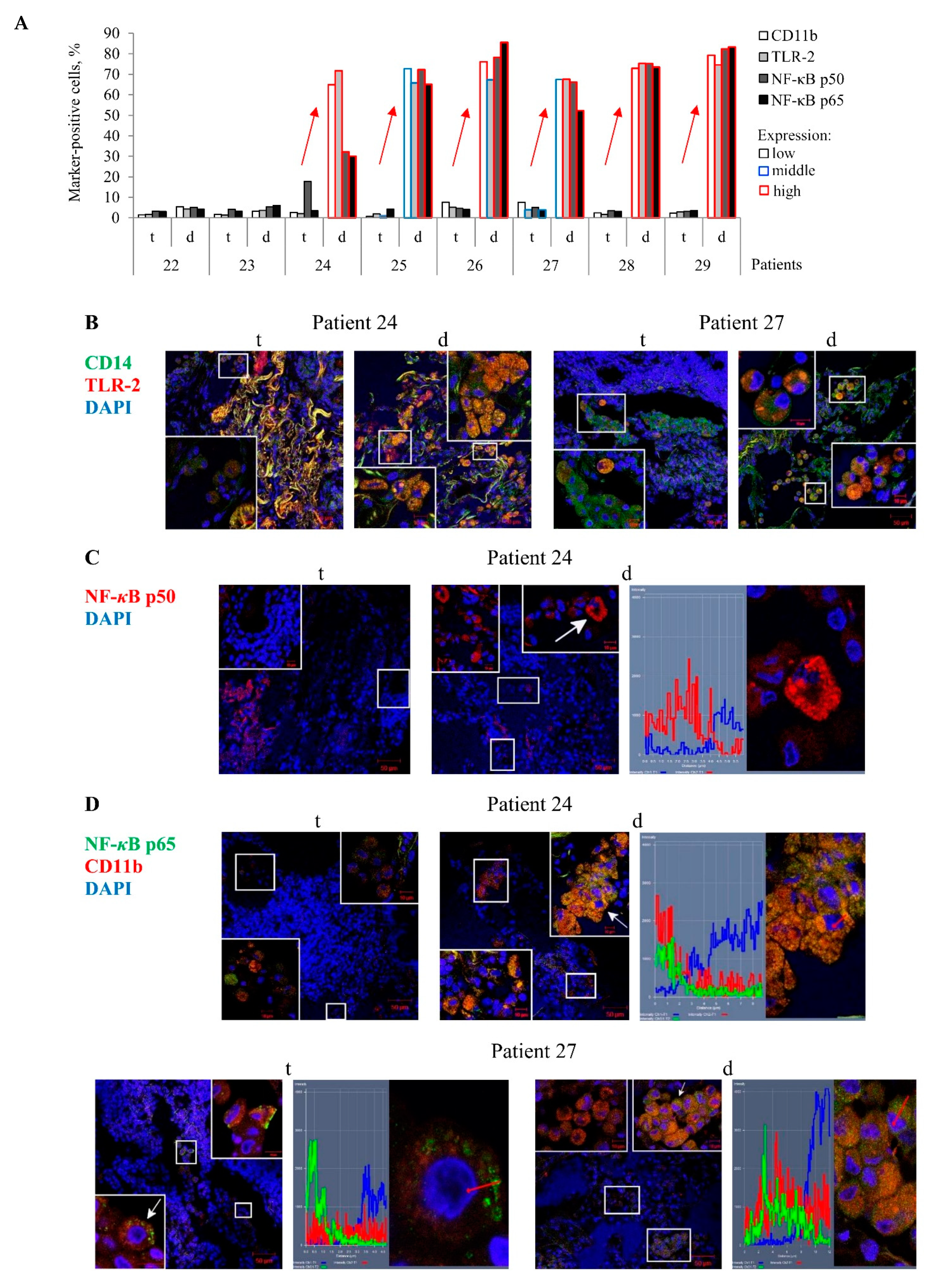 Ijms 22 03452 g003 Ijms 22 03452 g003
