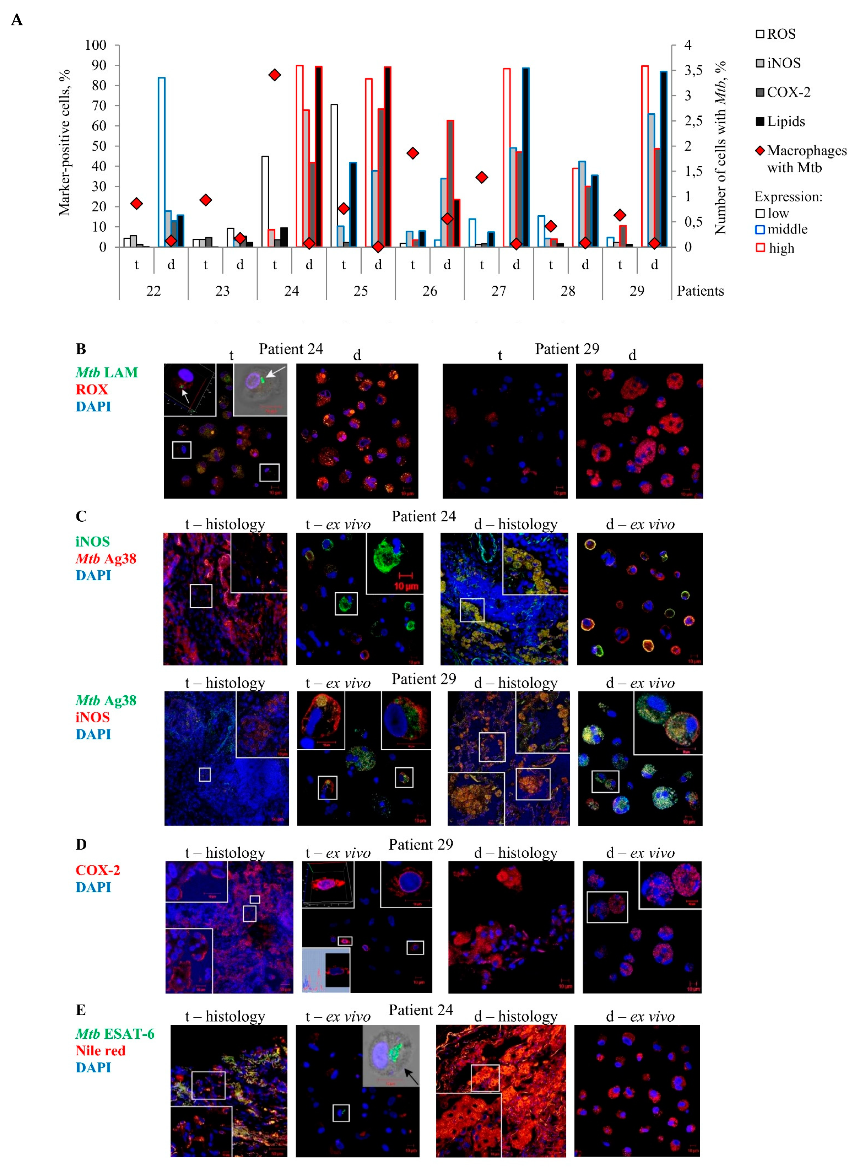 Ijms 22 03452 g004 Ijms 22 03452 g004