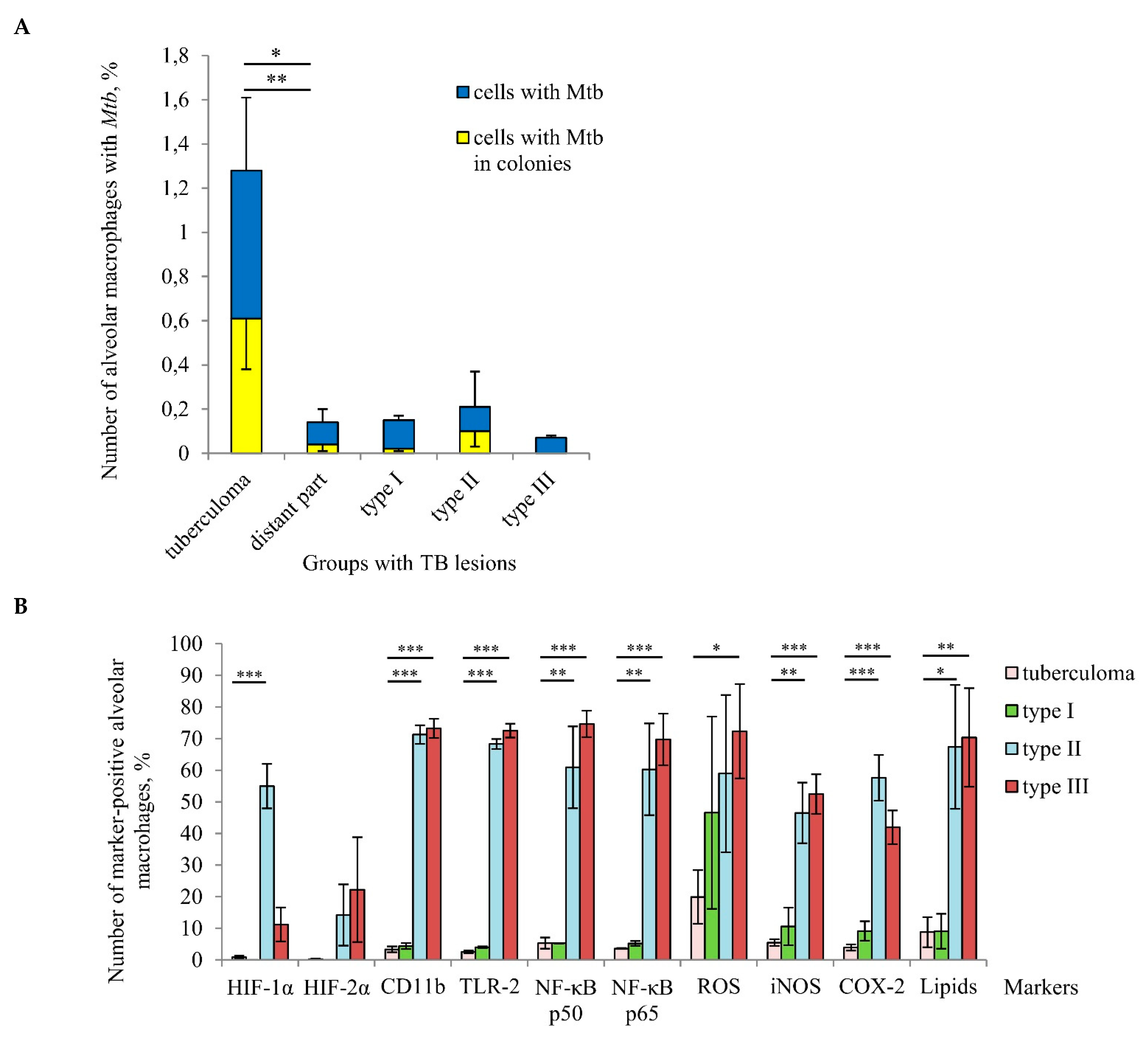 Ijms 22 03452 g005 Ijms 22 03452 g005