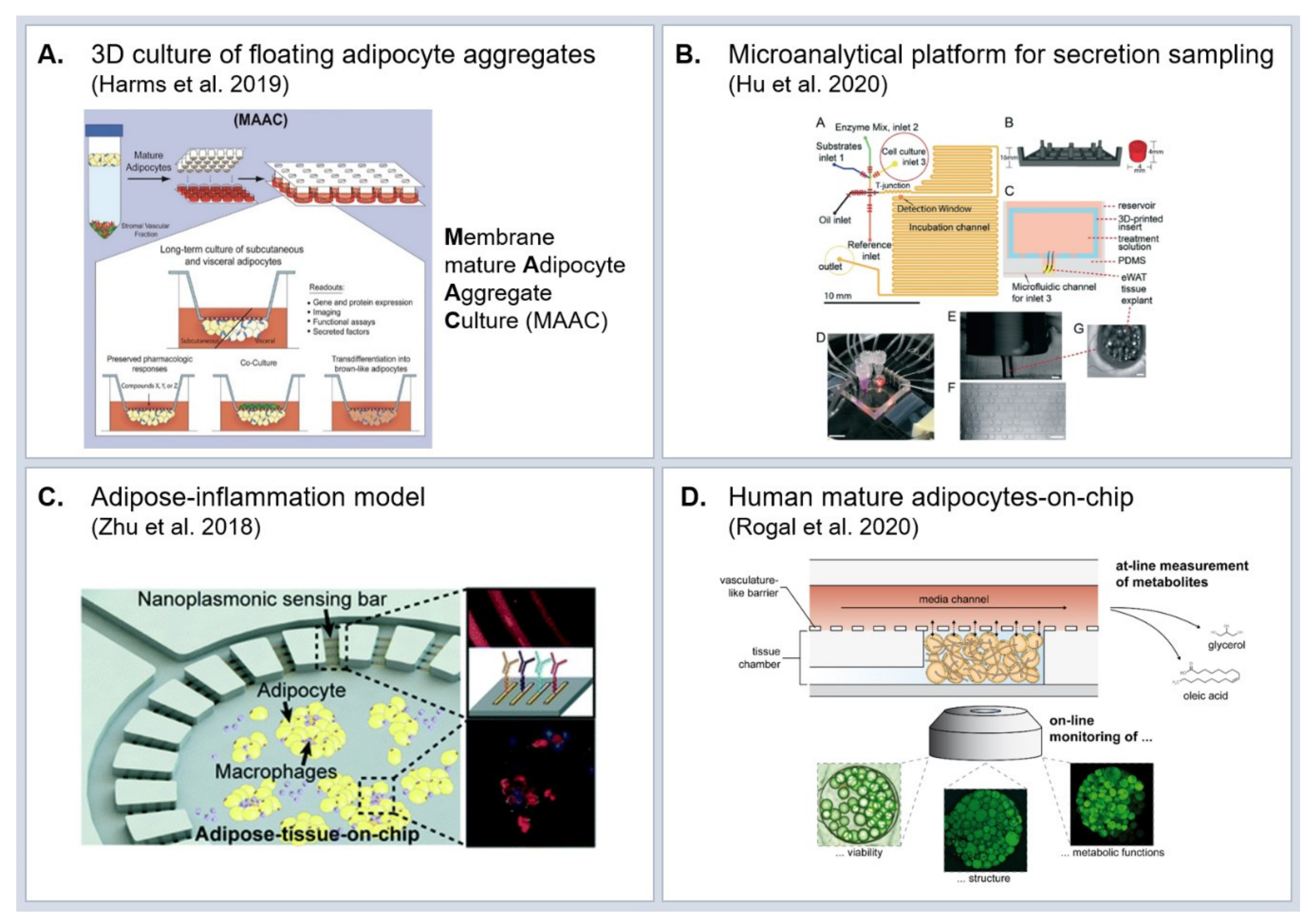 Ijms 22 03456 g003 Ijms 22 03456 g003