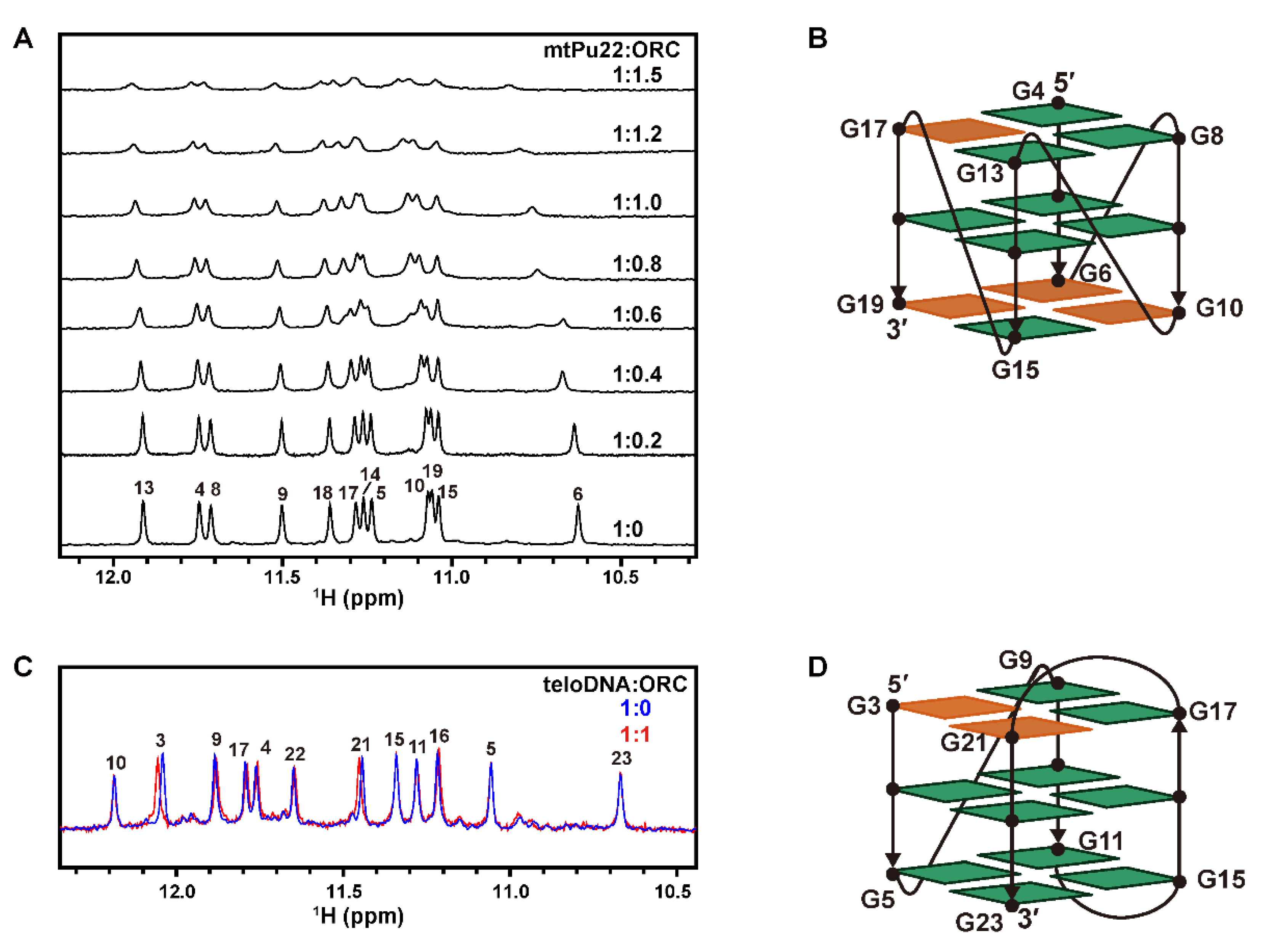 Ijms 22 03481 g005 Ijms 22 03481 g005