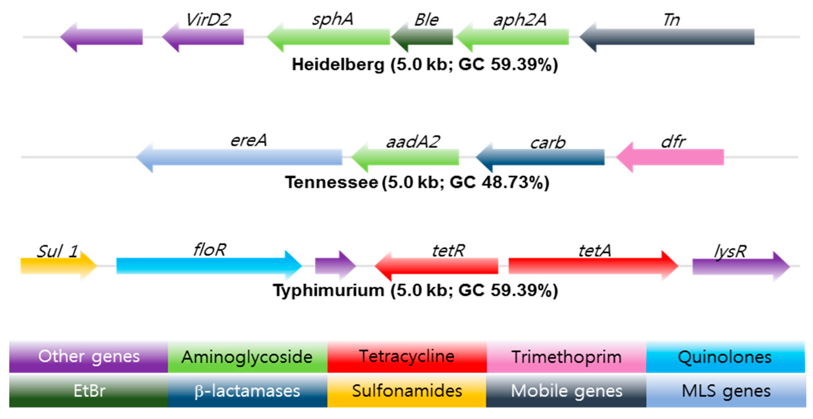 Ijms 22 03499 g003 Ijms 22 03499 g003