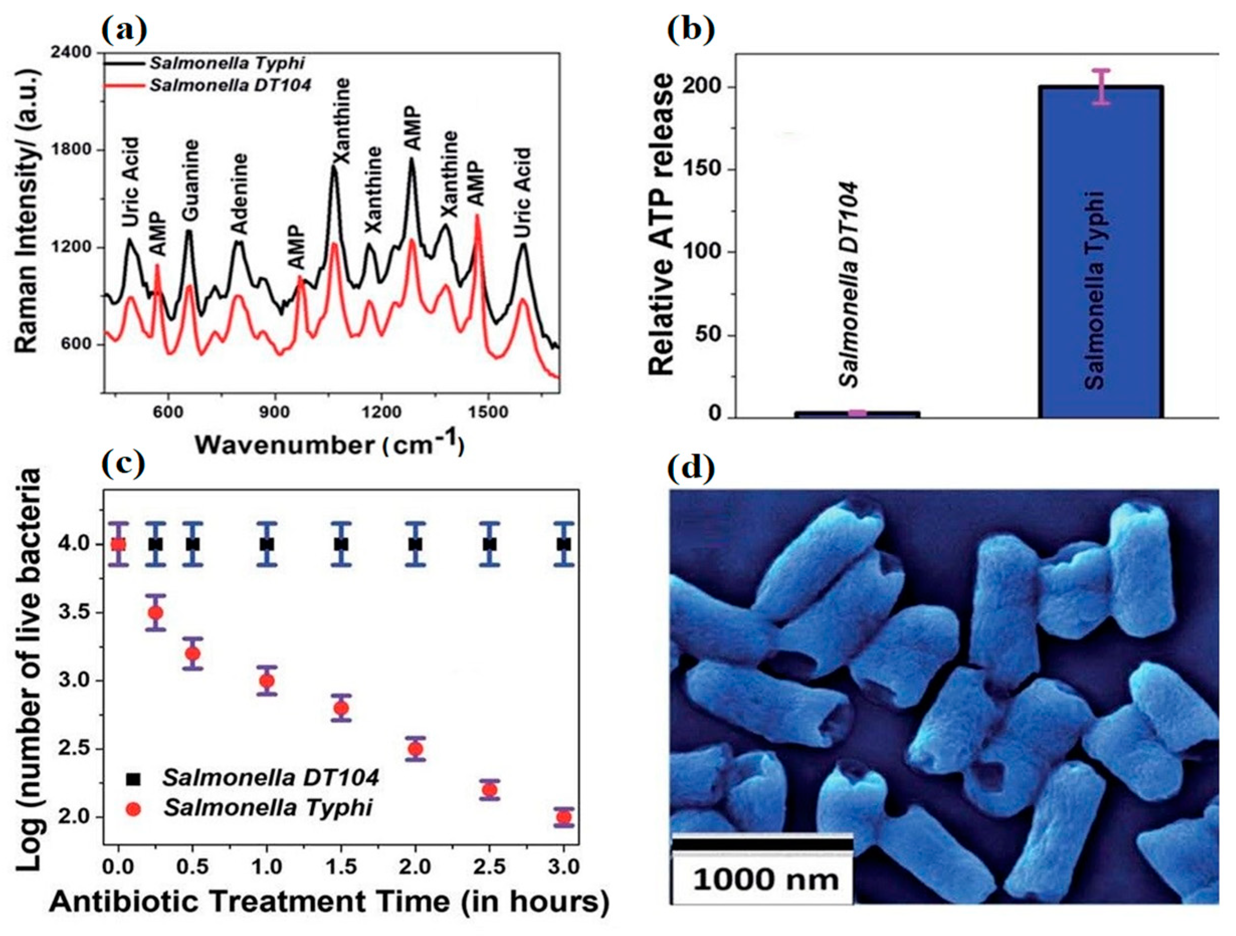 Ijms 22 03499 g005 Ijms 22 03499 g005