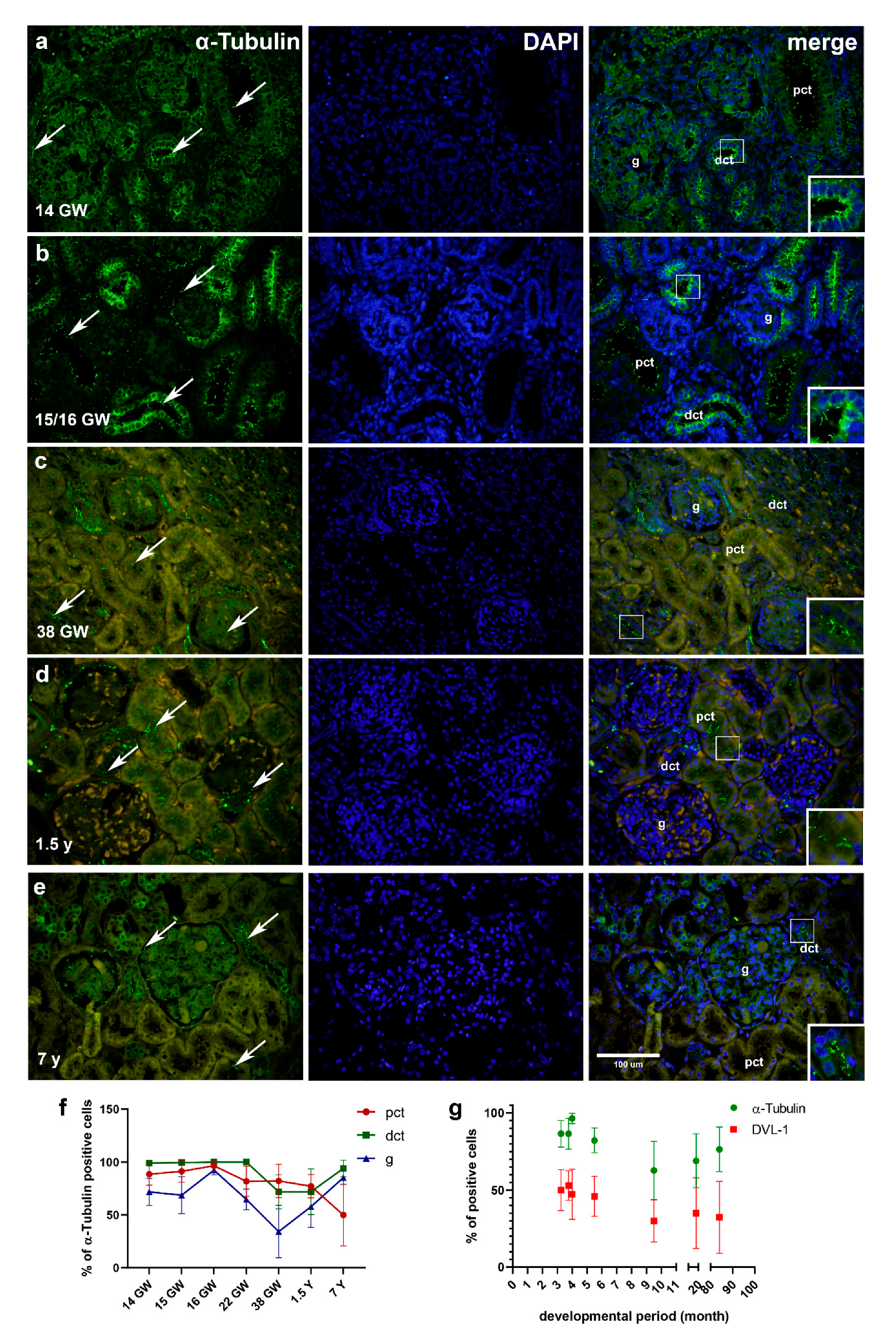 Ijms 22 03500 g003 Ijms 22 03500 g003