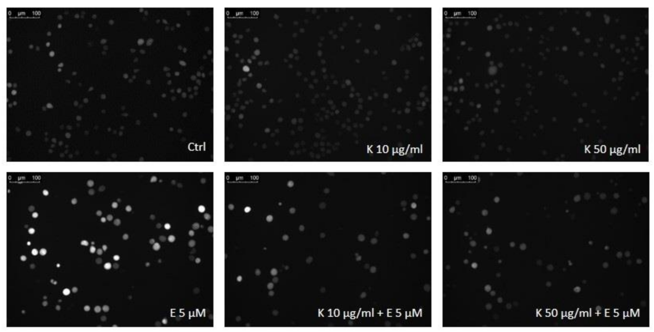 Ijms 22 03520 g008