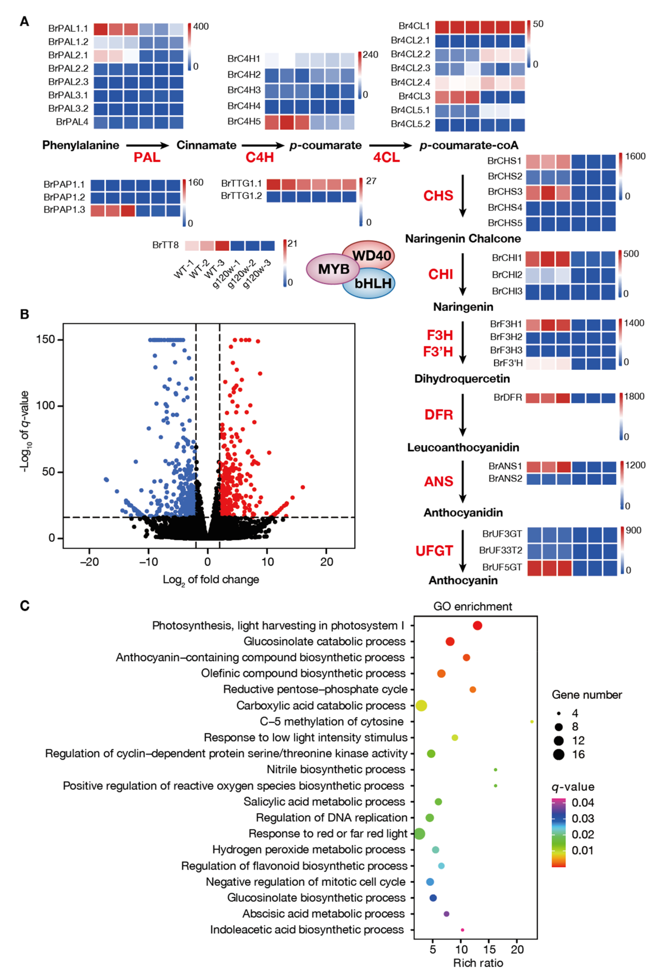 Ijms 22 03538 g005 Ijms 22 03538 g005