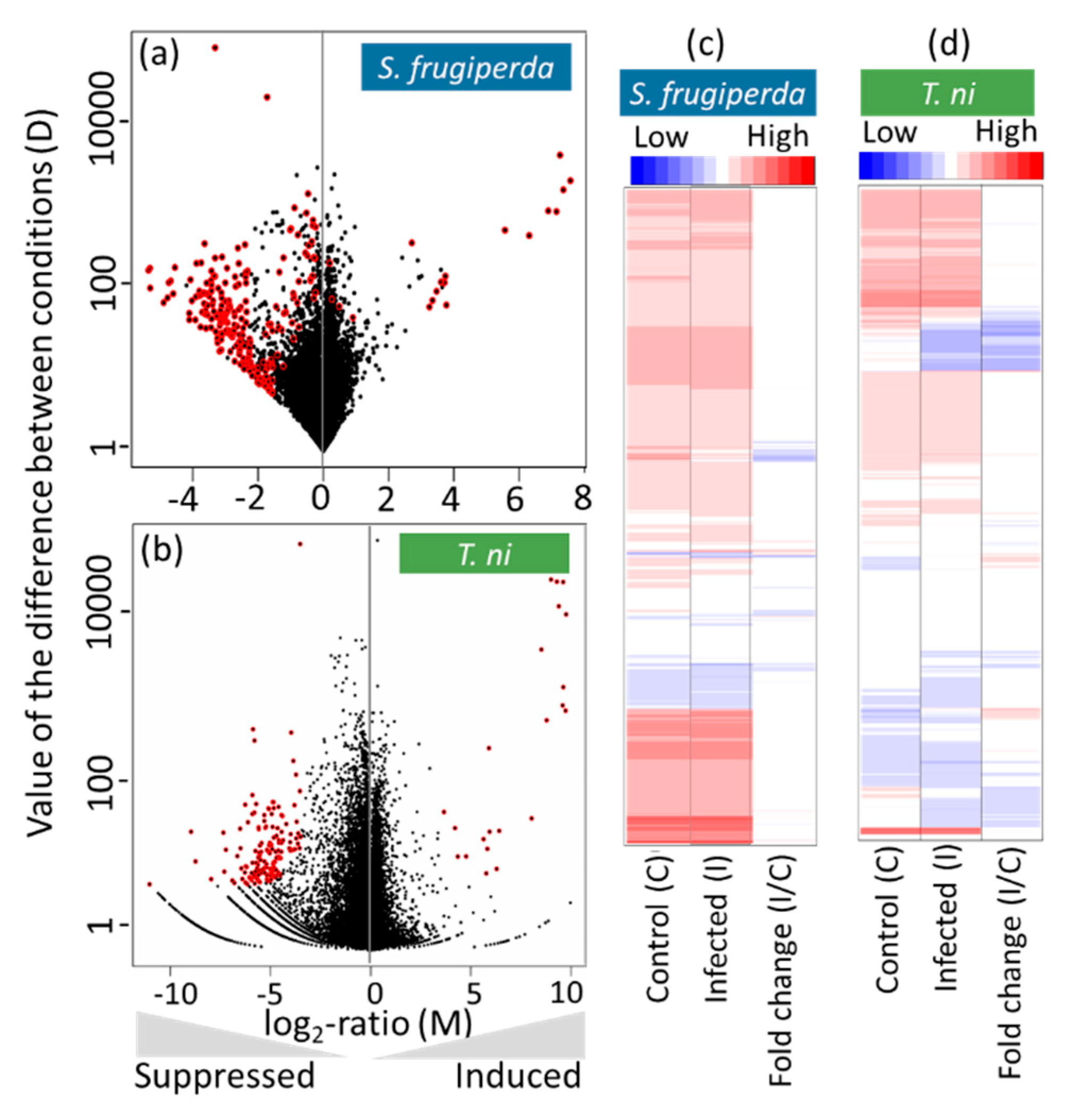 Ijms 22 03568 g002 Ijms 22 03568 g002