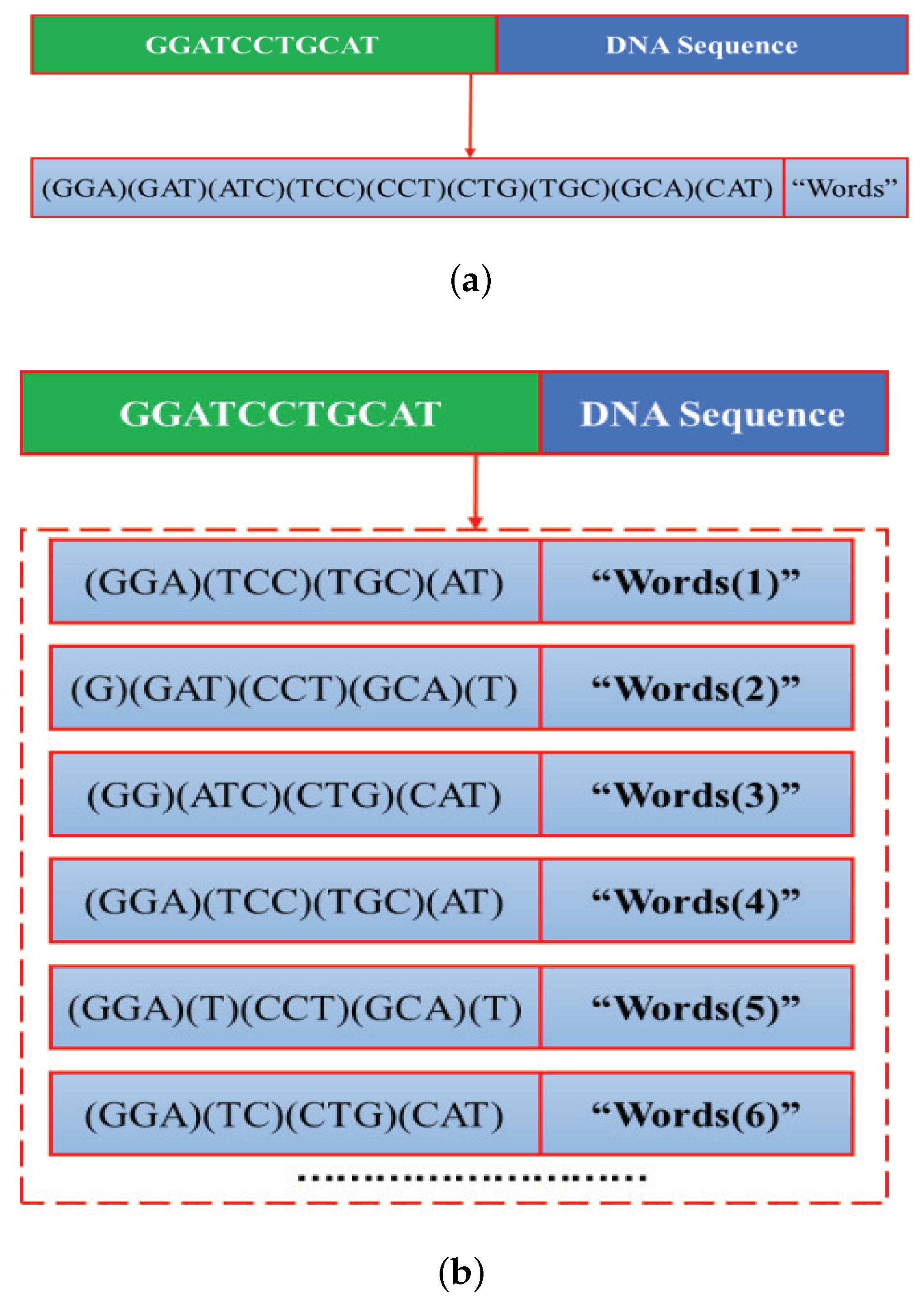 Ijms 22 03589 g005