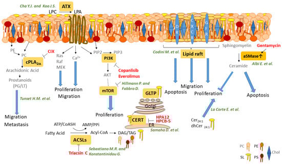 Ijms 22 03610 g001 550