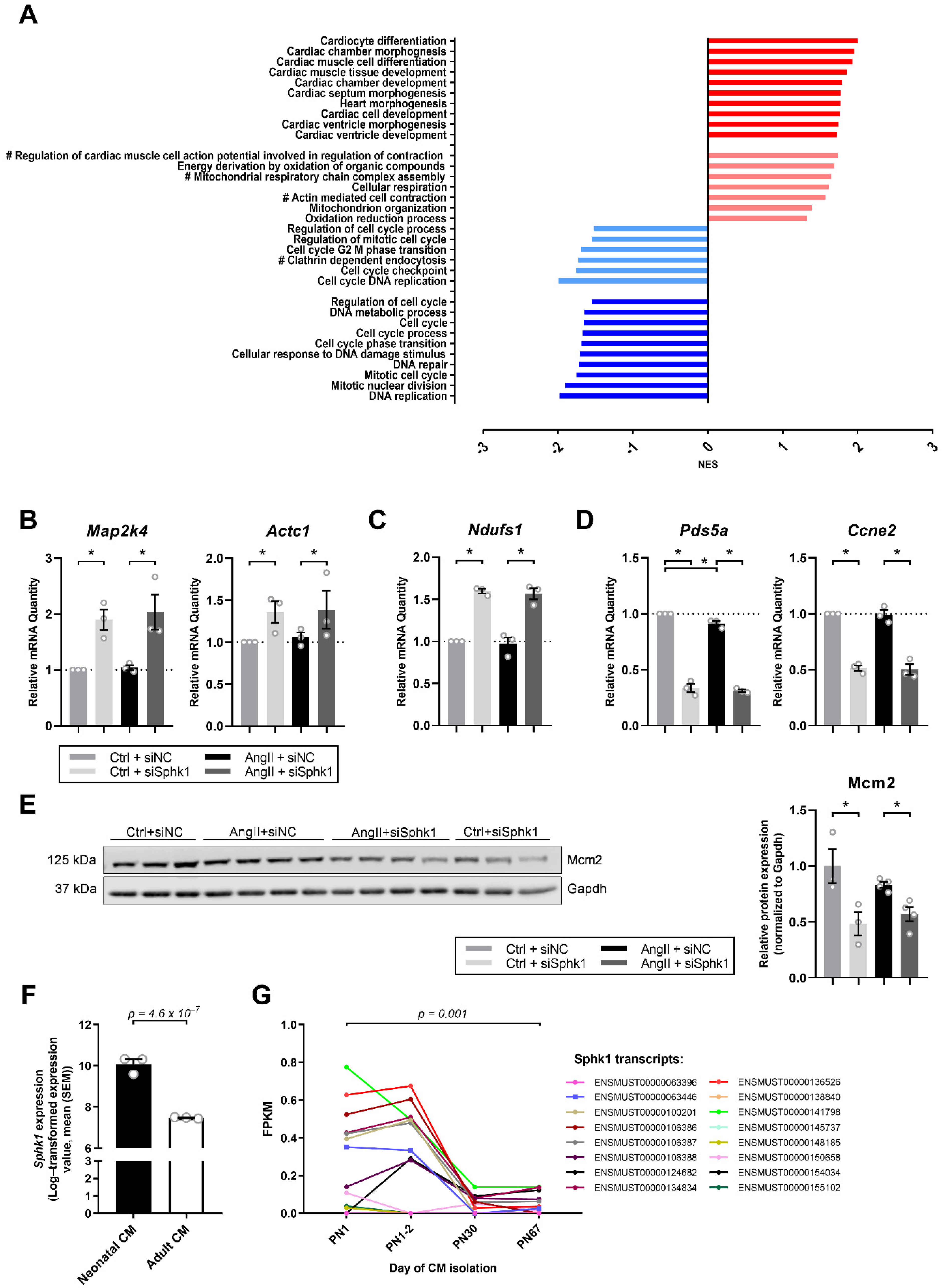 Ijms 22 03616 g002 Ijms 22 03616 g002
