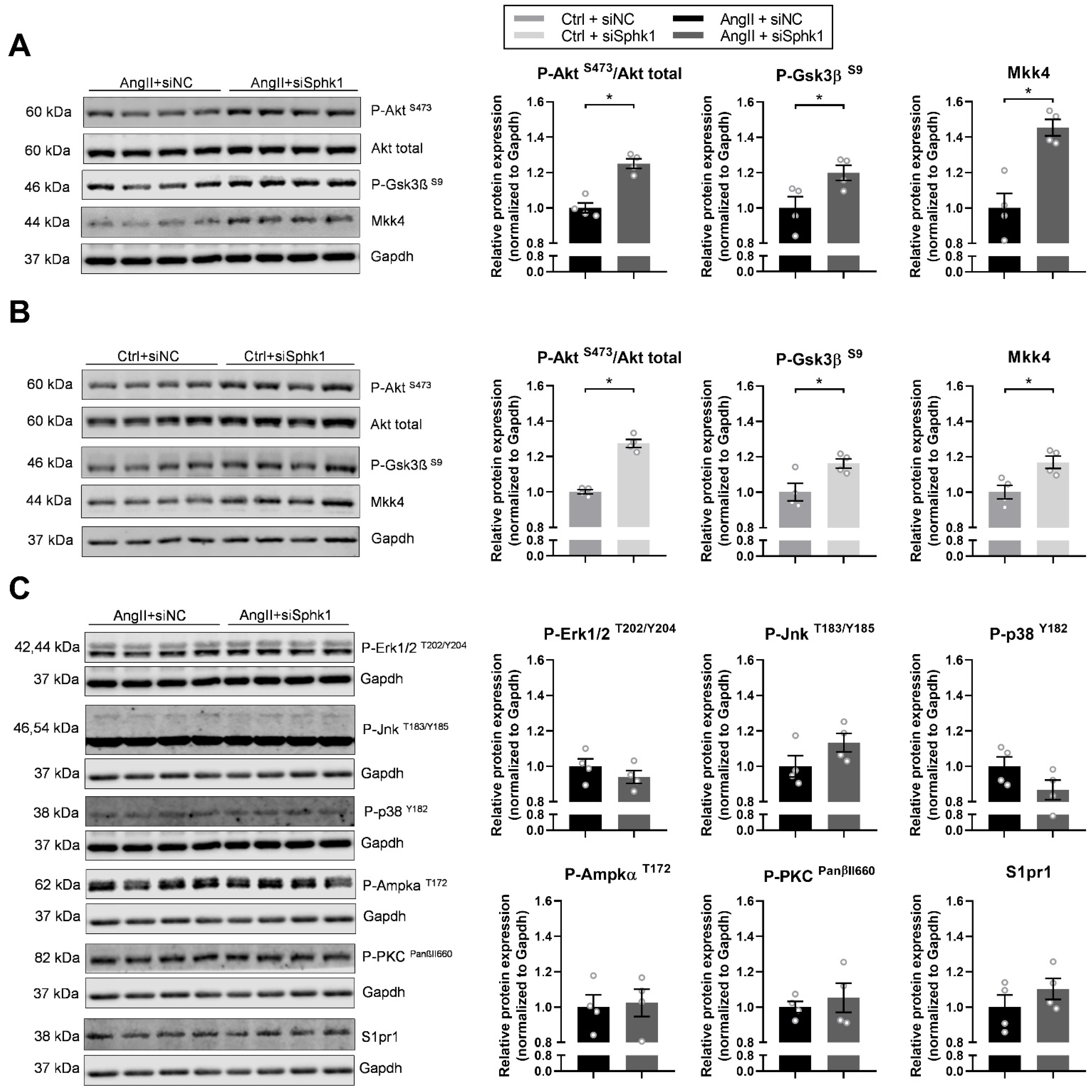 Ijms 22 03616 g003 Ijms 22 03616 g003