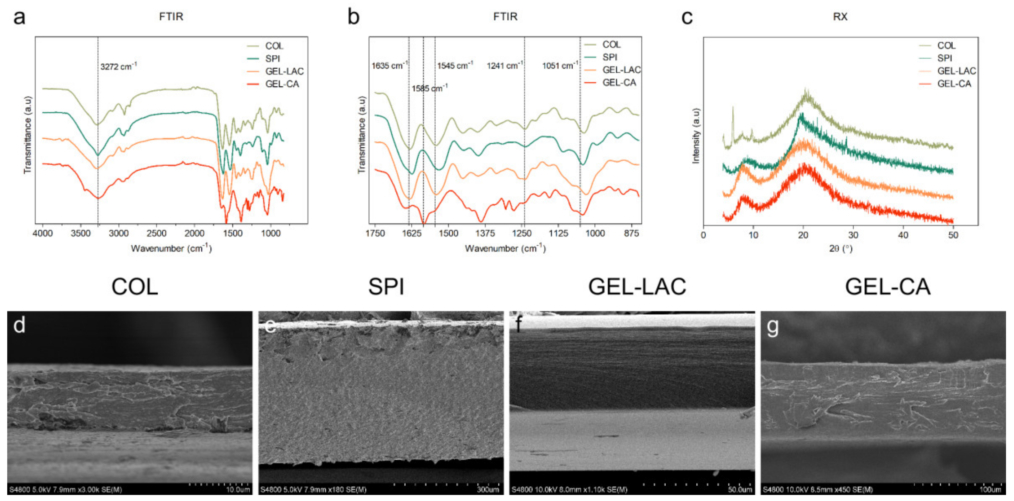 Ijms 22 03648 g001 Ijms 22 03648 g001