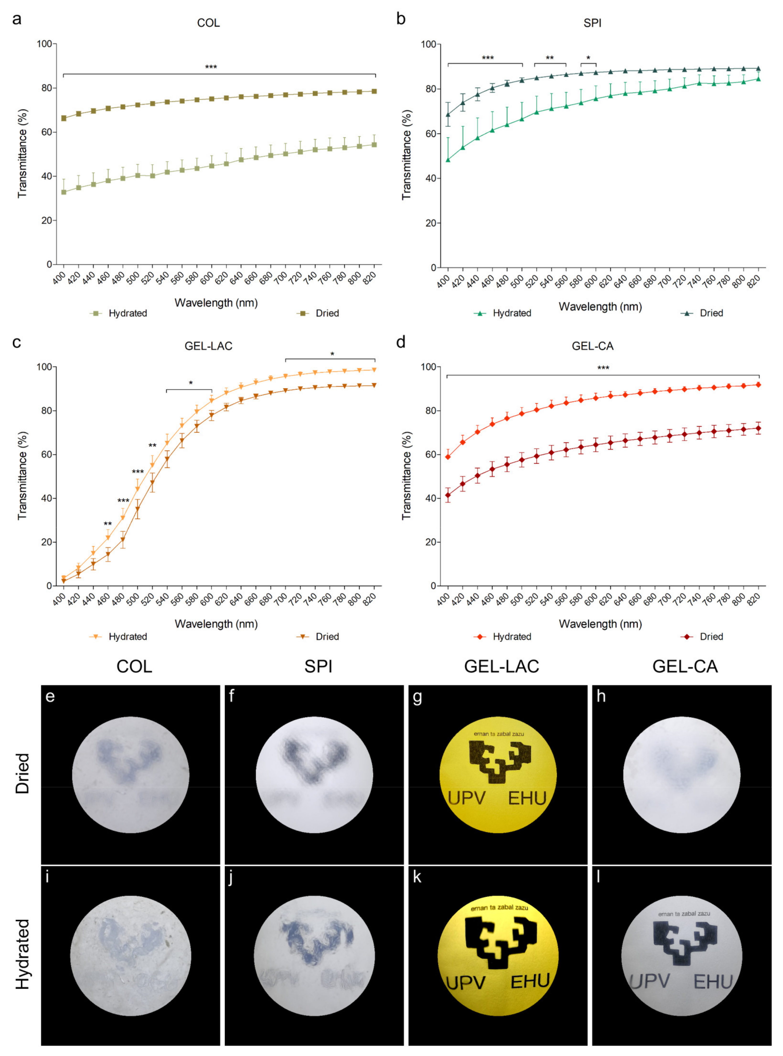 Ijms 22 03648 g002 Ijms 22 03648 g002