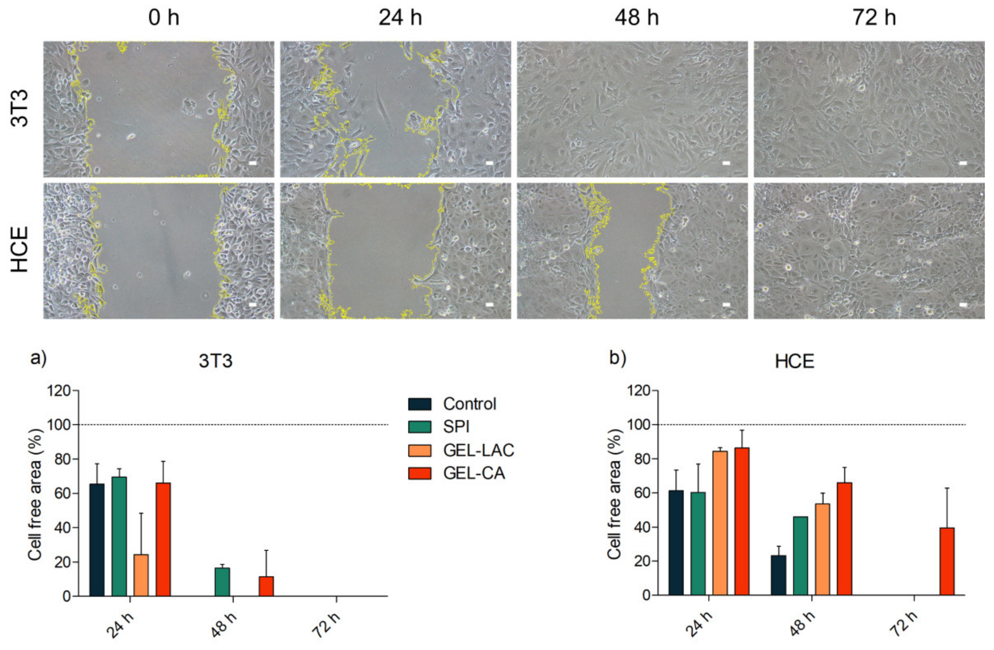 Ijms 22 03648 g008 Ijms 22 03648 g008