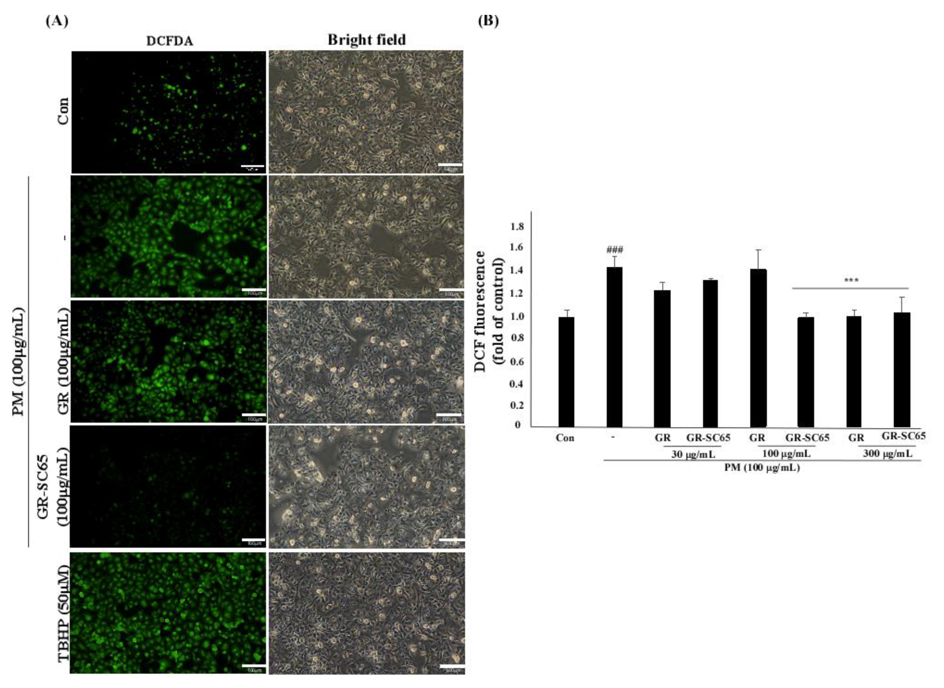 Ijms 22 03660 g004 Ijms 22 03660 g004