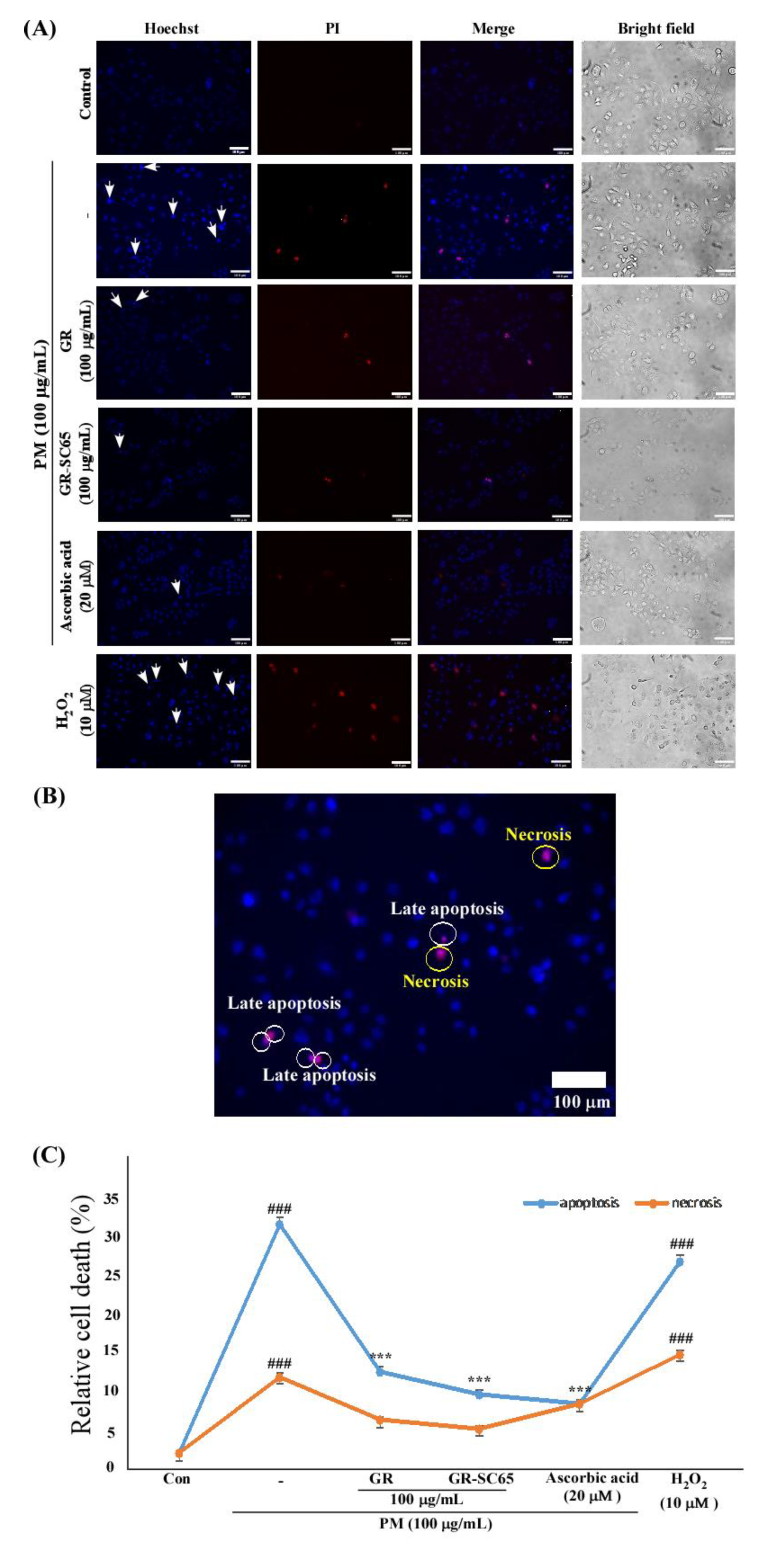 Ijms 22 03660 g005 Ijms 22 03660 g005
