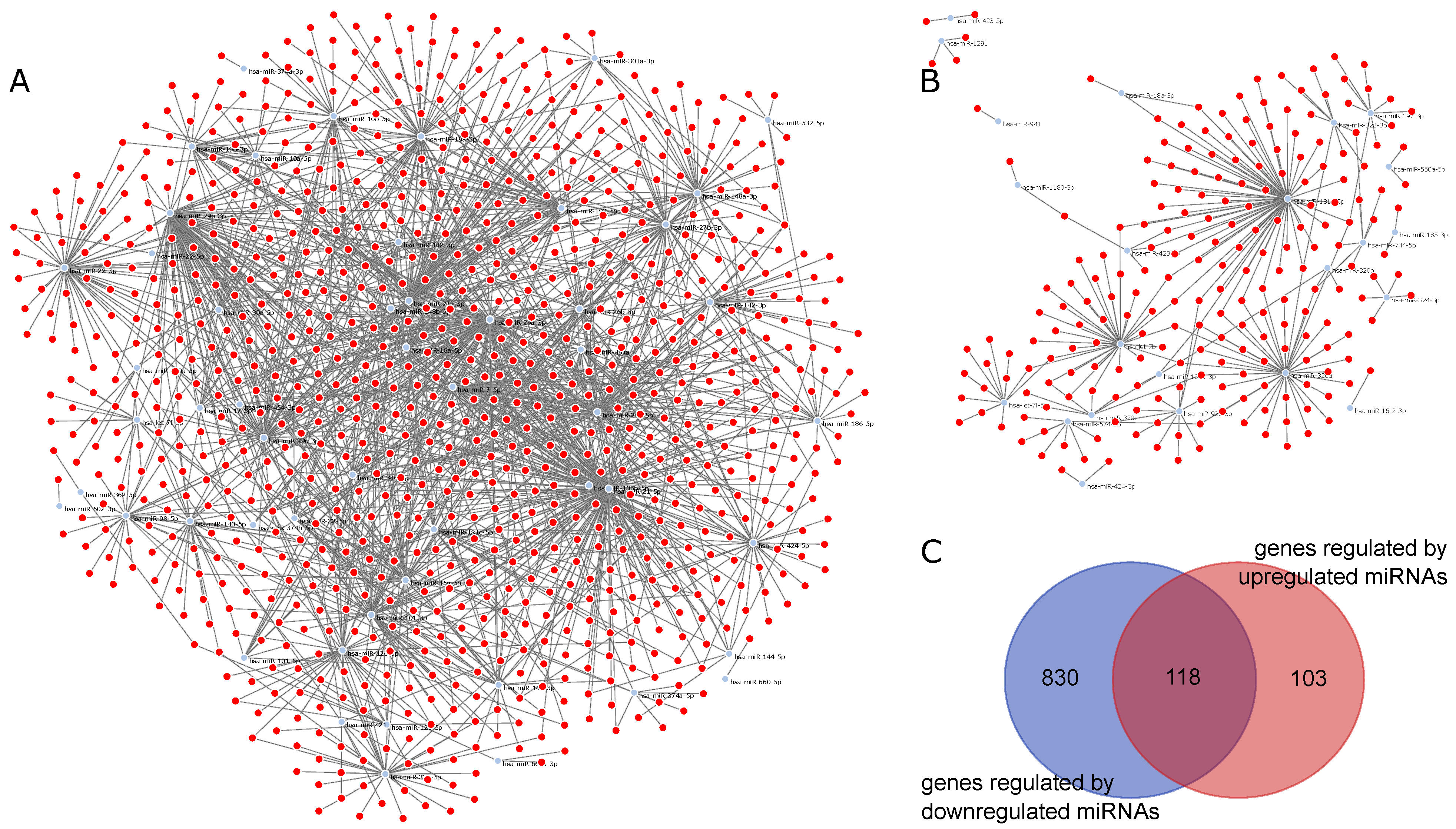 Ijms 22 03674 g004 Ijms 22 03674 g004