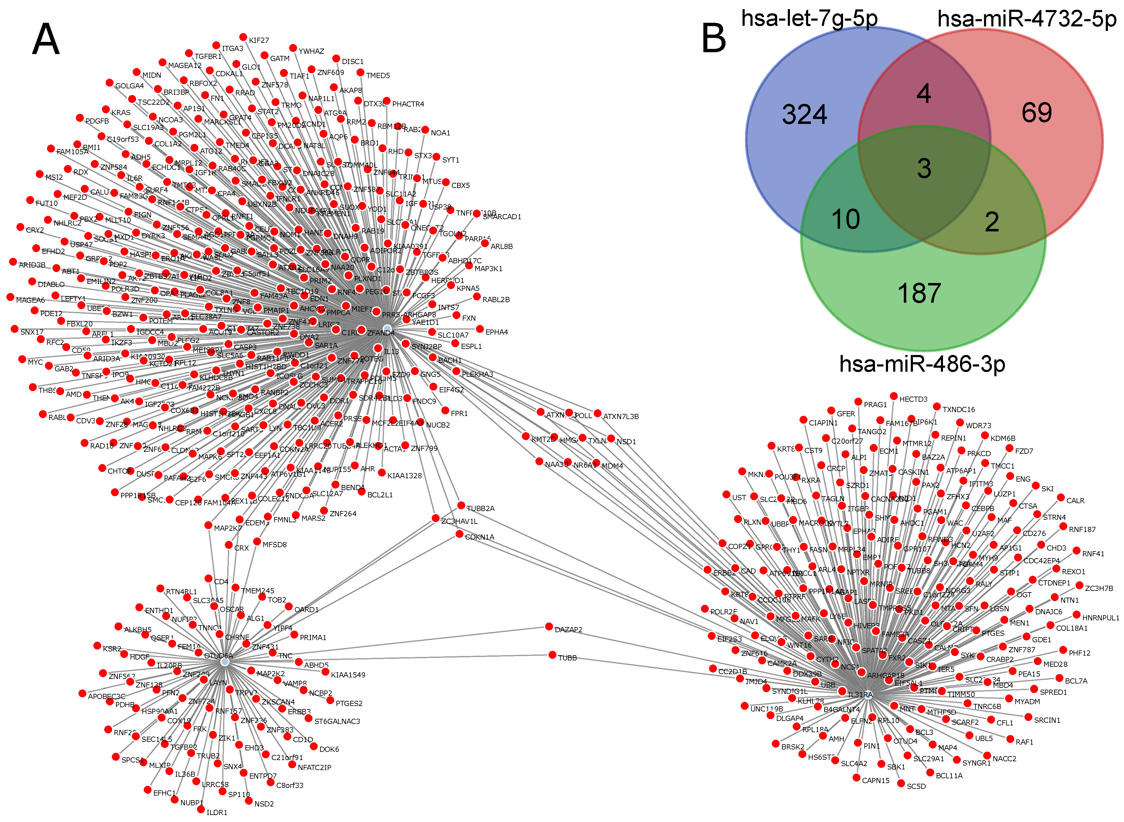 Ijms 22 03674 g005 Ijms 22 03674 g005