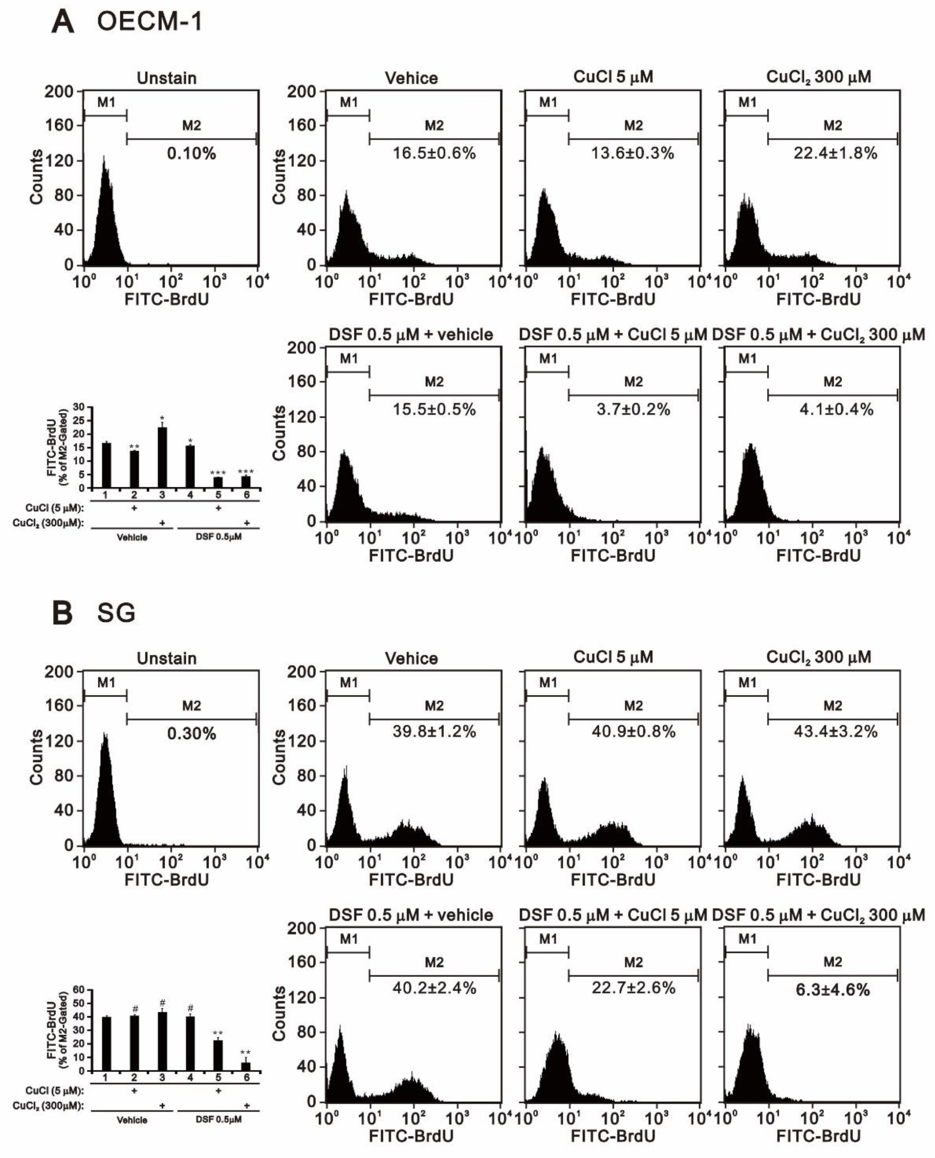 Ijms 22 03711 g002 Ijms 22 03711 g002