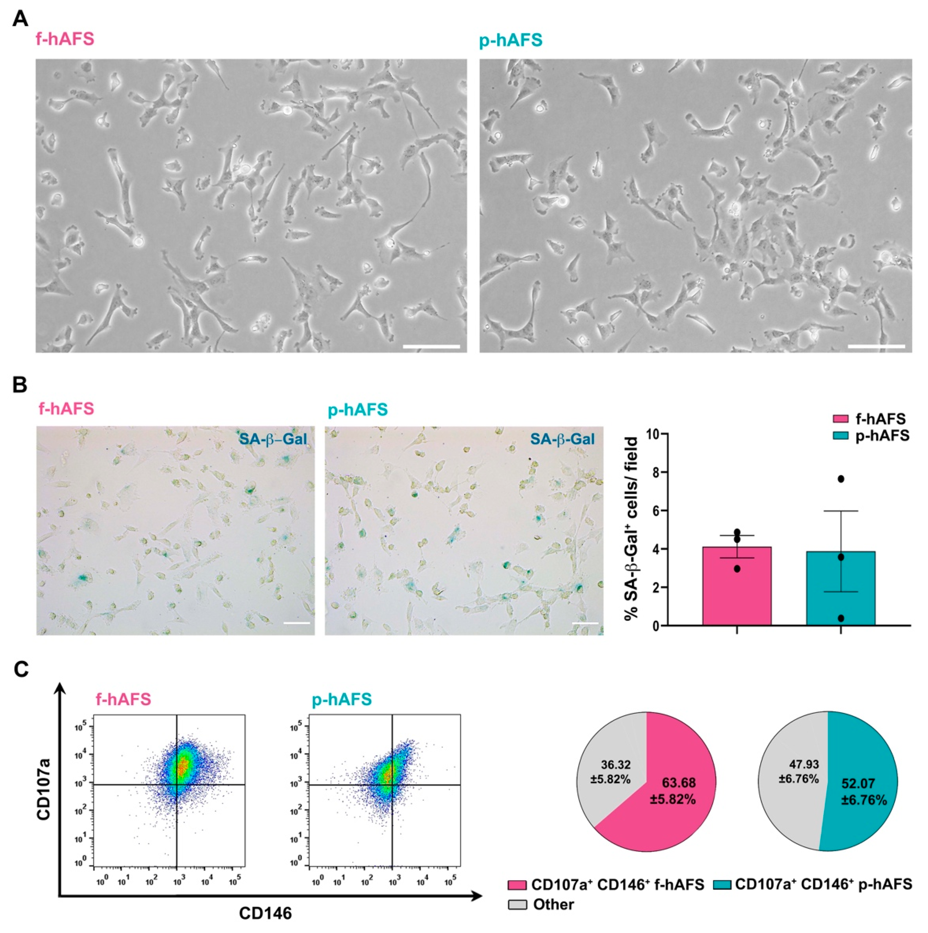 Ijms 22 03713 g001 Ijms 22 03713 g001