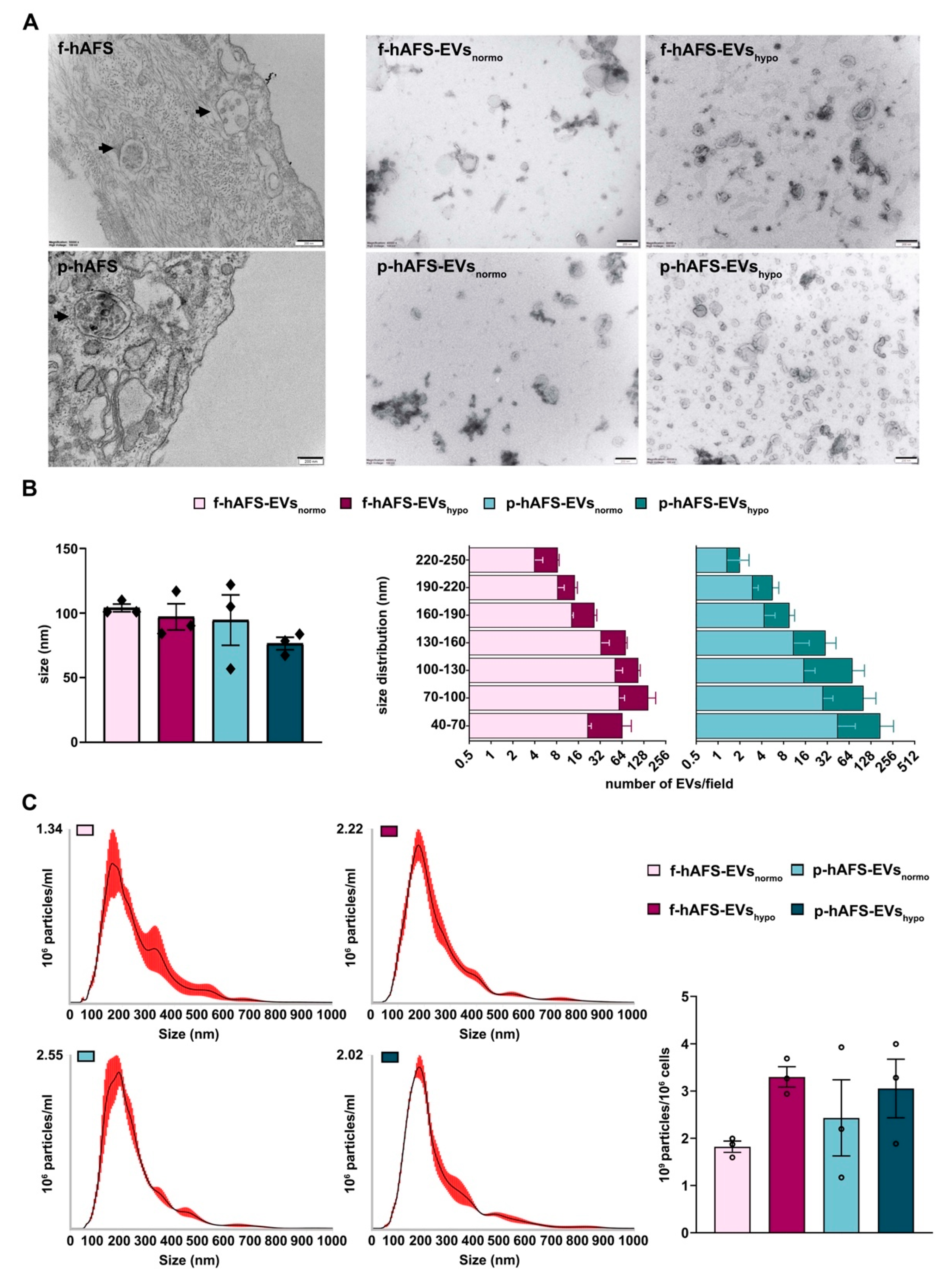 Ijms 22 03713 g004 Ijms 22 03713 g004