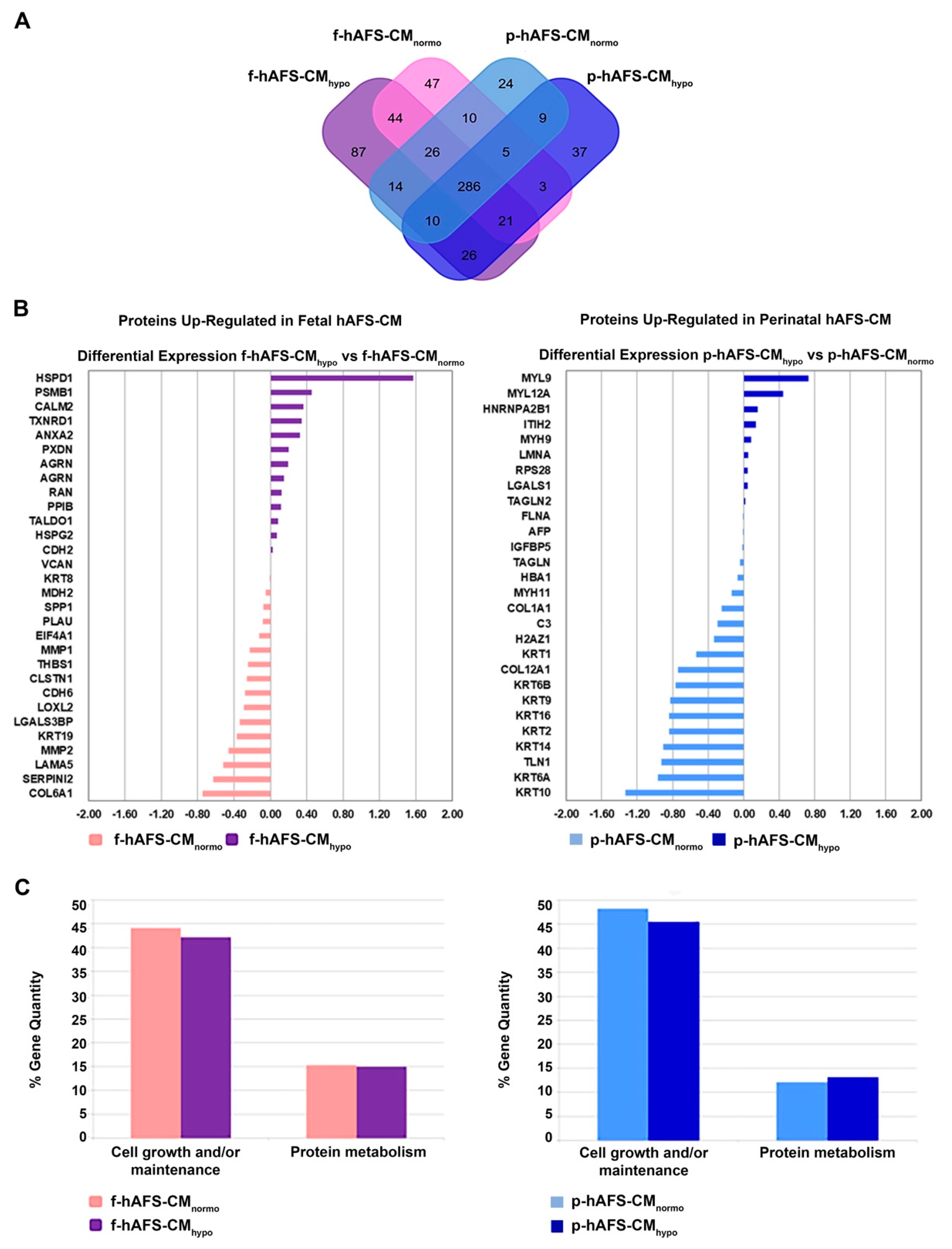 Ijms 22 03713 g005 Ijms 22 03713 g005