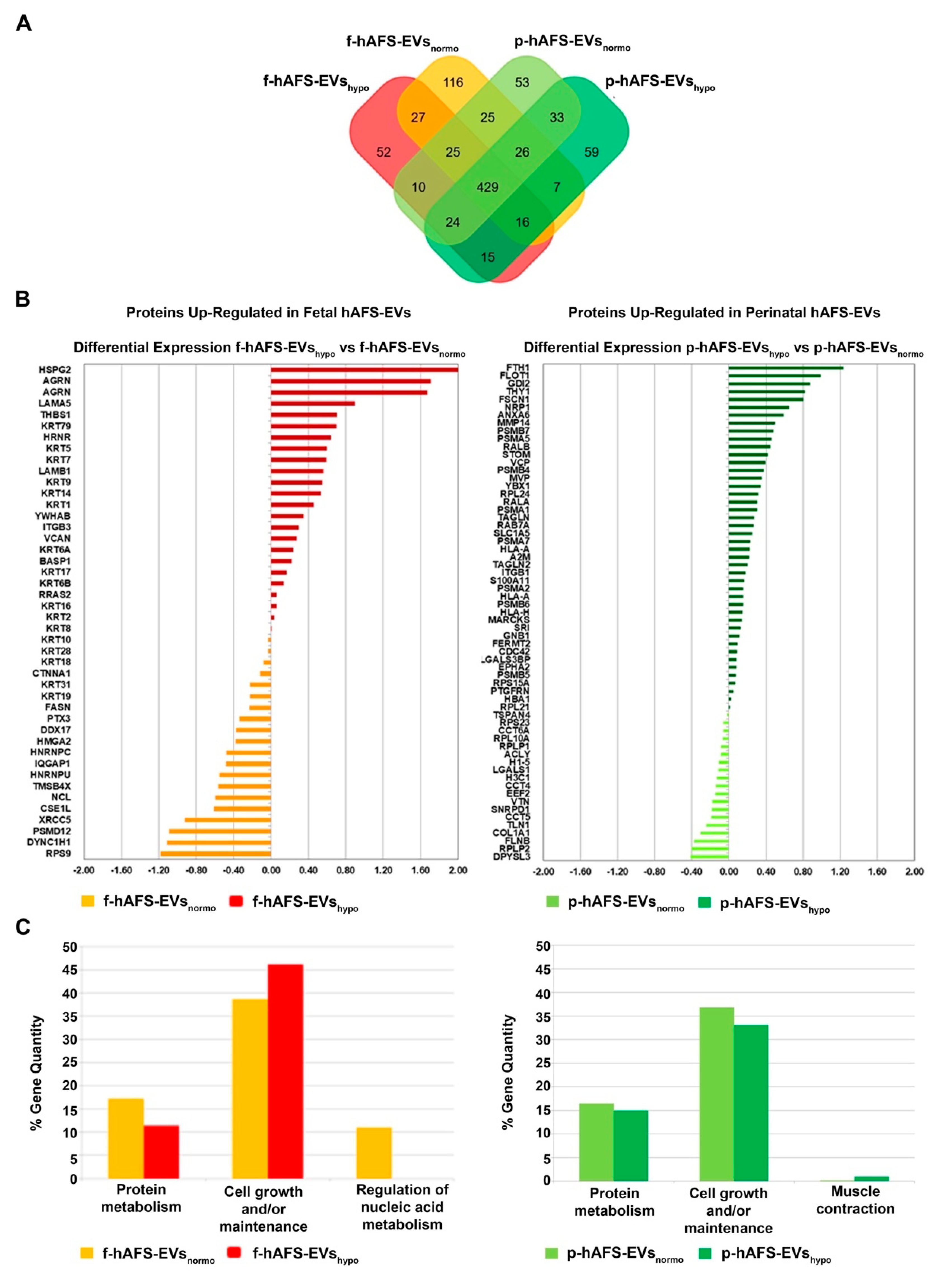 Ijms 22 03713 g006 Ijms 22 03713 g006