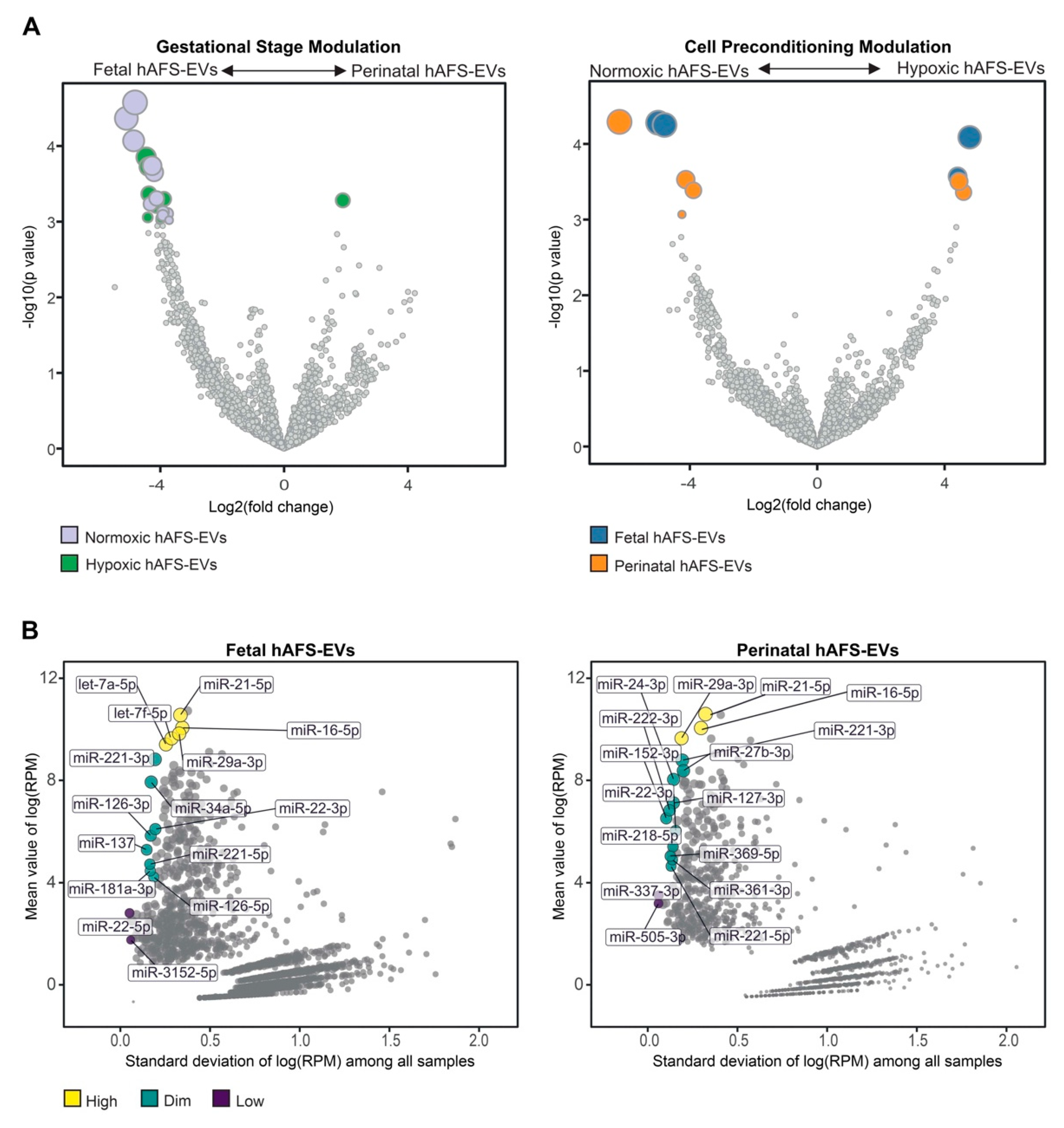 Ijms 22 03713 g009 Ijms 22 03713 g009